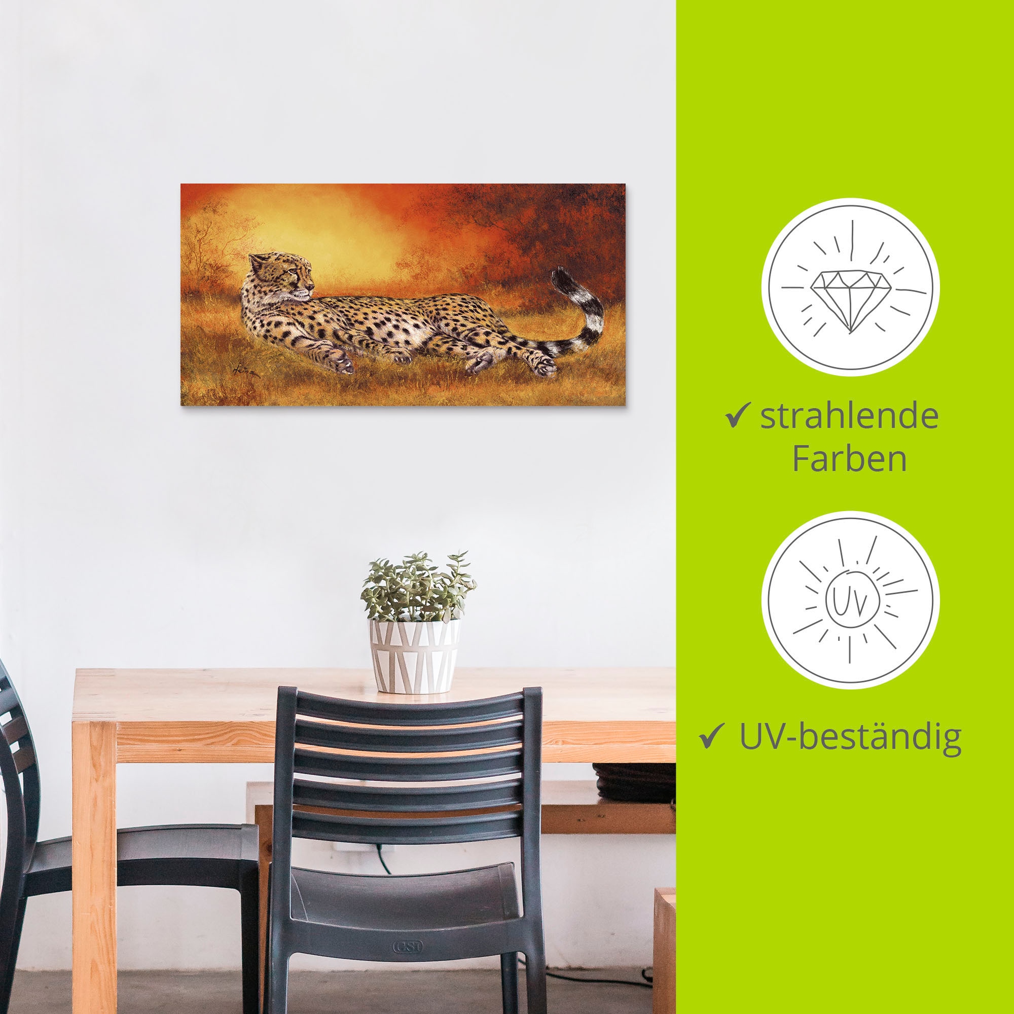 Artland Wandbild »Gepard« Geparden Bilder 1 Stk. tlg. als Alubild, Leinwandbild in verschied. Größen