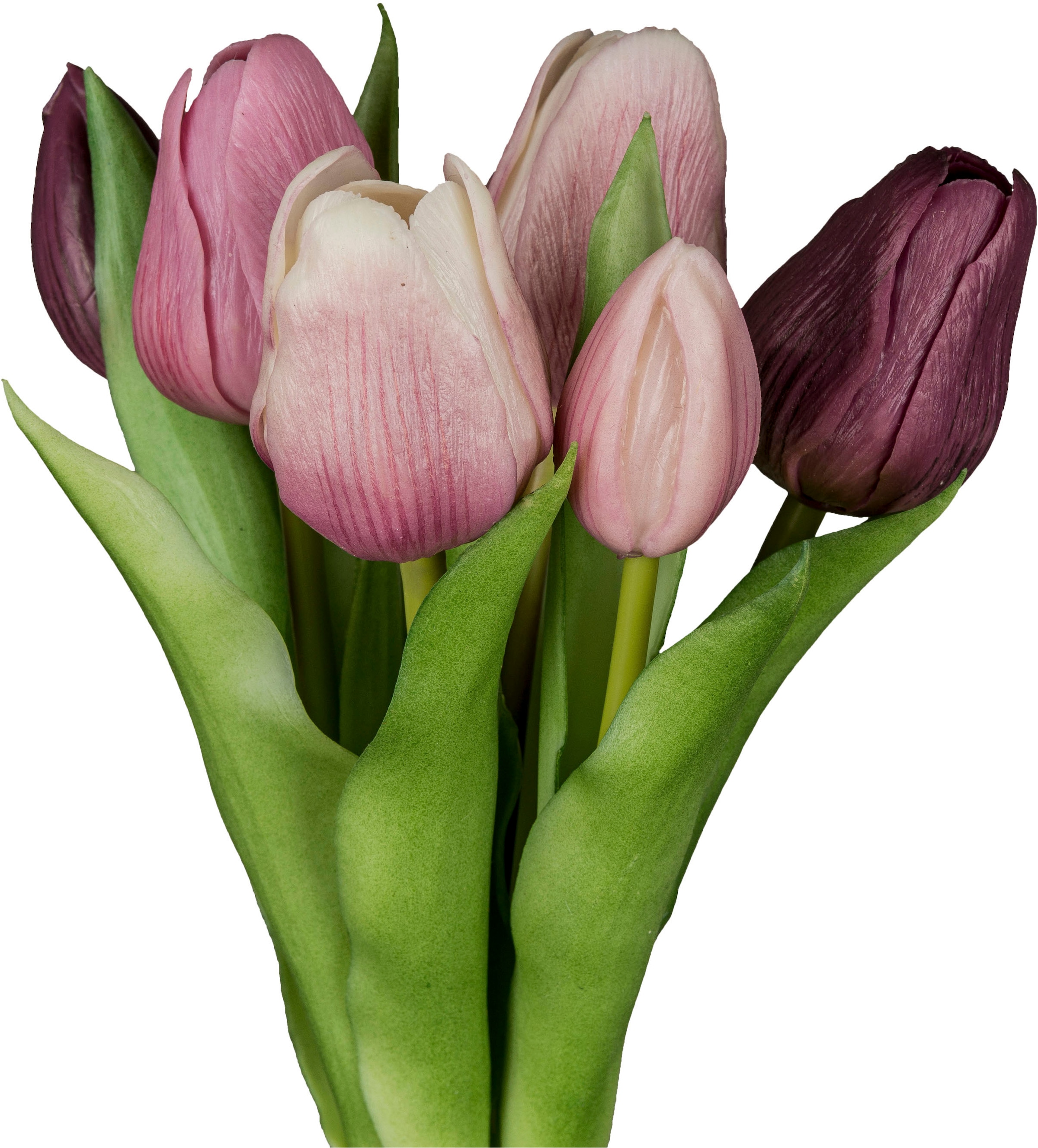 Creativ green Kunsttulpe »Tulpenbund« aus 6 Einzelstielen
