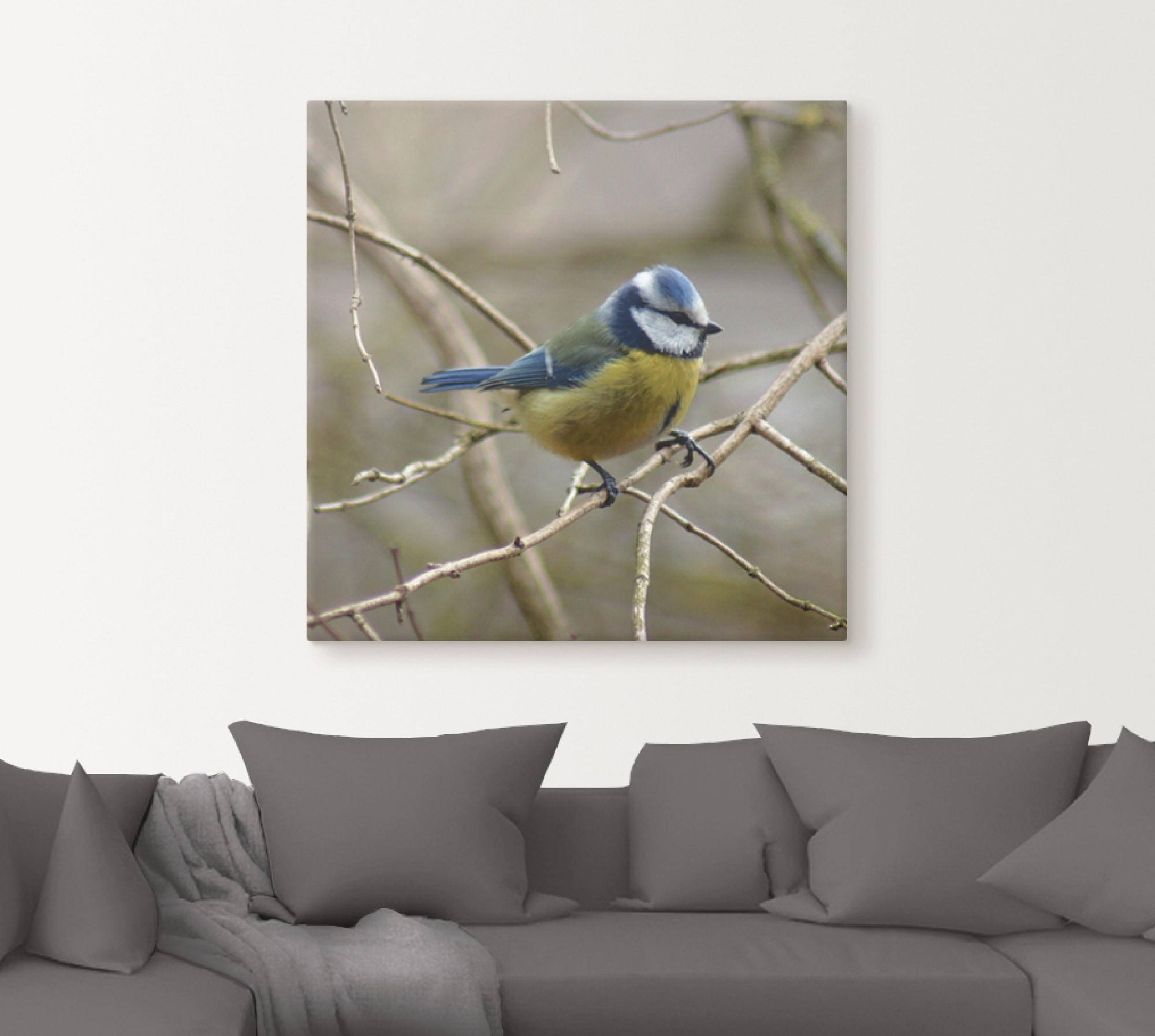 Artland Wandbild »Blaumeise« Vögel 1 Stk. tlg. als Leinwandbild, Wandaufkleber in verschied. Größen