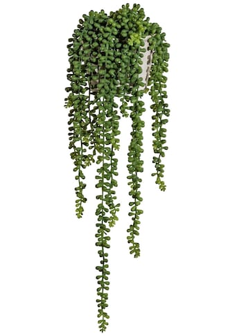 Creativ green Kunstranke »Sedumhänger«, (1 St.), im Zementtopf kaufen