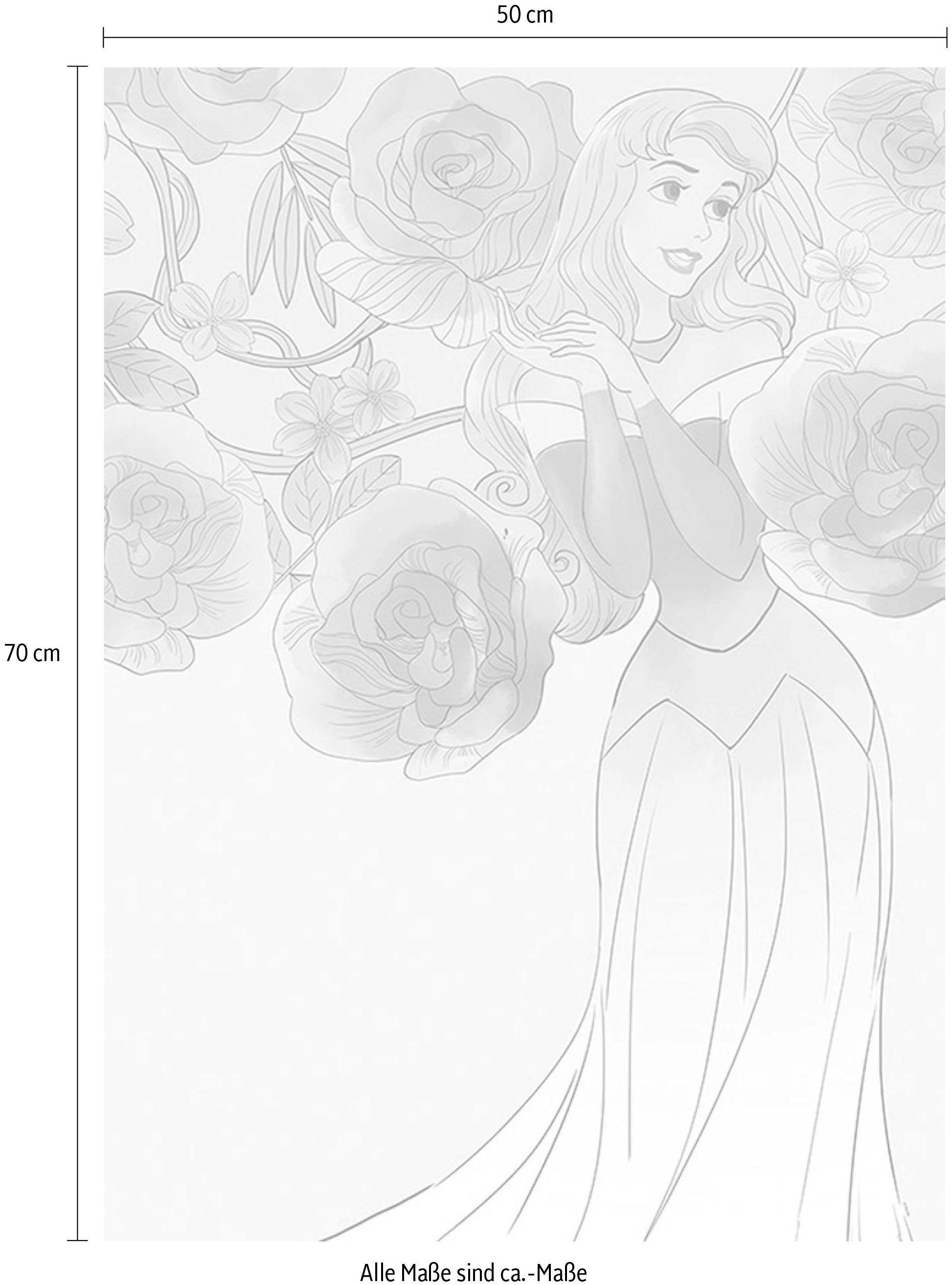 Komar Bild »Sleeping Beauty Roses«, Disney, (1 St.), Wandbild zur Dekoration im Kinderzimmer - ohne Rahmen