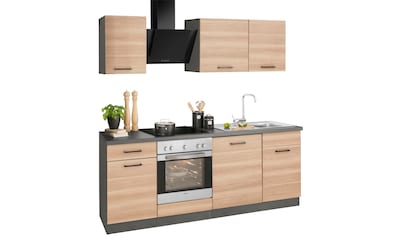 wiho Küchen Küchenzeile »Esbo«, mit E-Geräten, Breite 220 cm kaufen