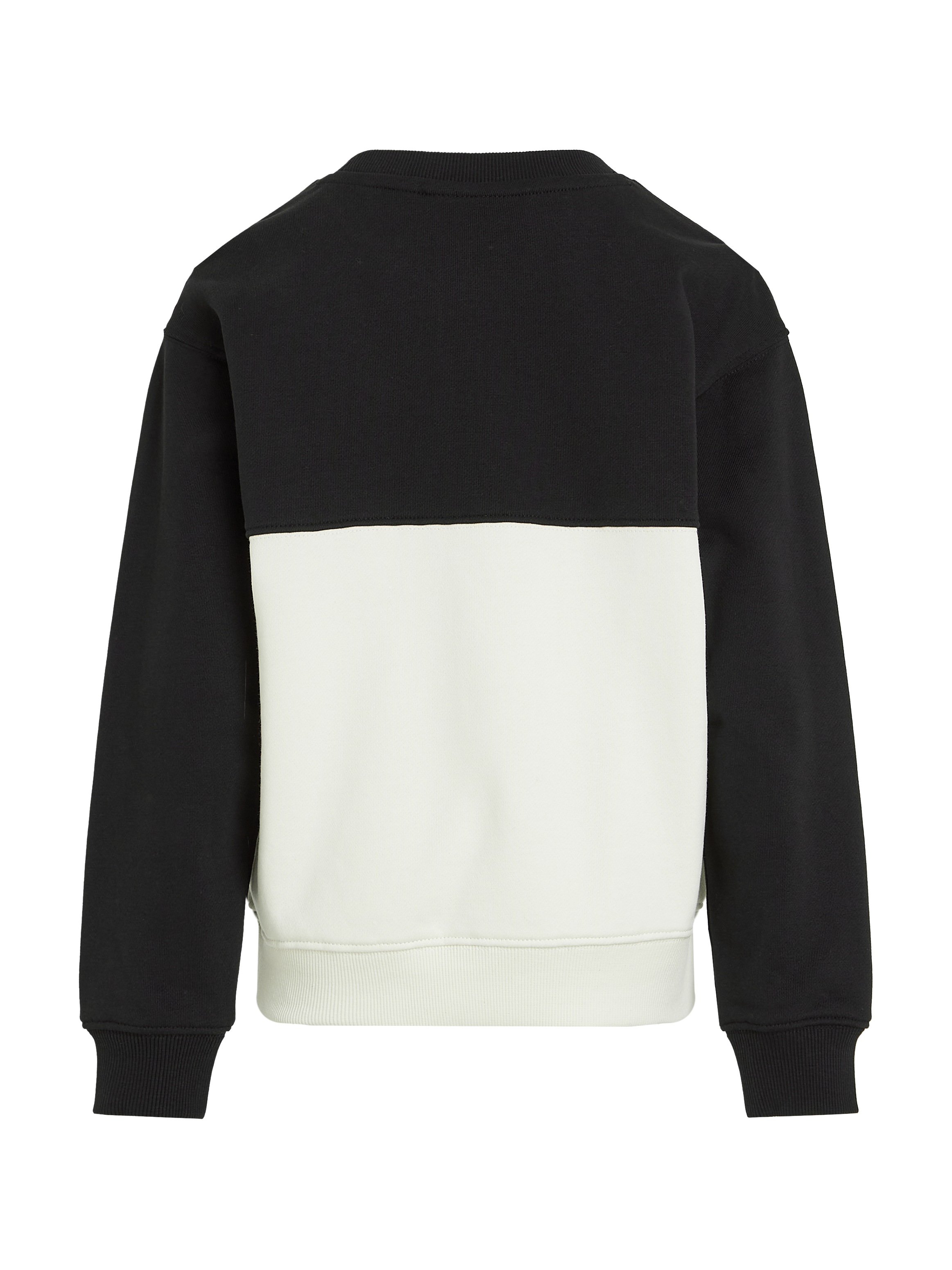 Calvin Klein Jeans Sweatshirt »COLOR BLOCK TERRY CN«, im Colorblock-Design
