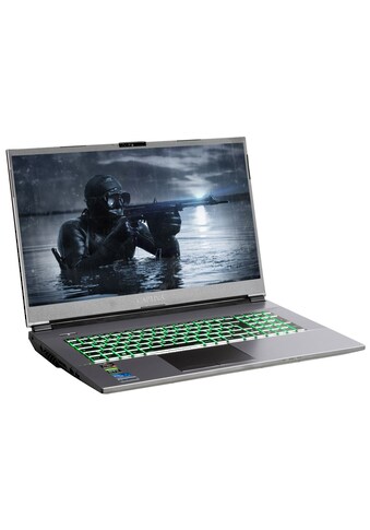 CAPTIVA Gaming-Notebook »Advanced Gaming R68-372«, (43,9 cm/17,3 Zoll), AMD, Ryzen 5,... kaufen