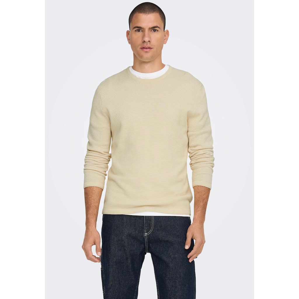 ONLY & SONS Rundhalspullover »PANTER 12 STRUC CREW NECK KNIT«