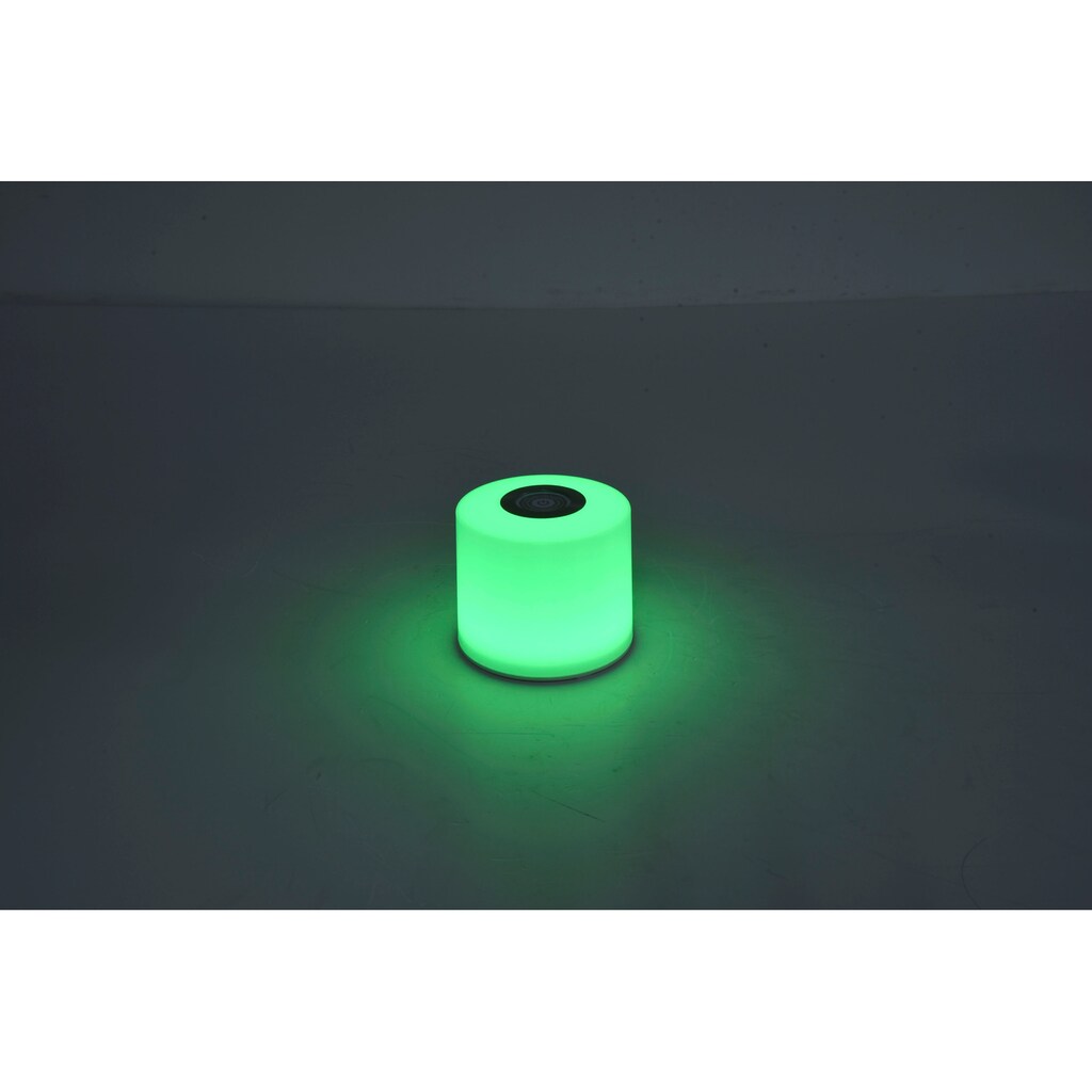 LUTEC Smarte LED-Leuchte »NOMA«, 1 flammig-flammig