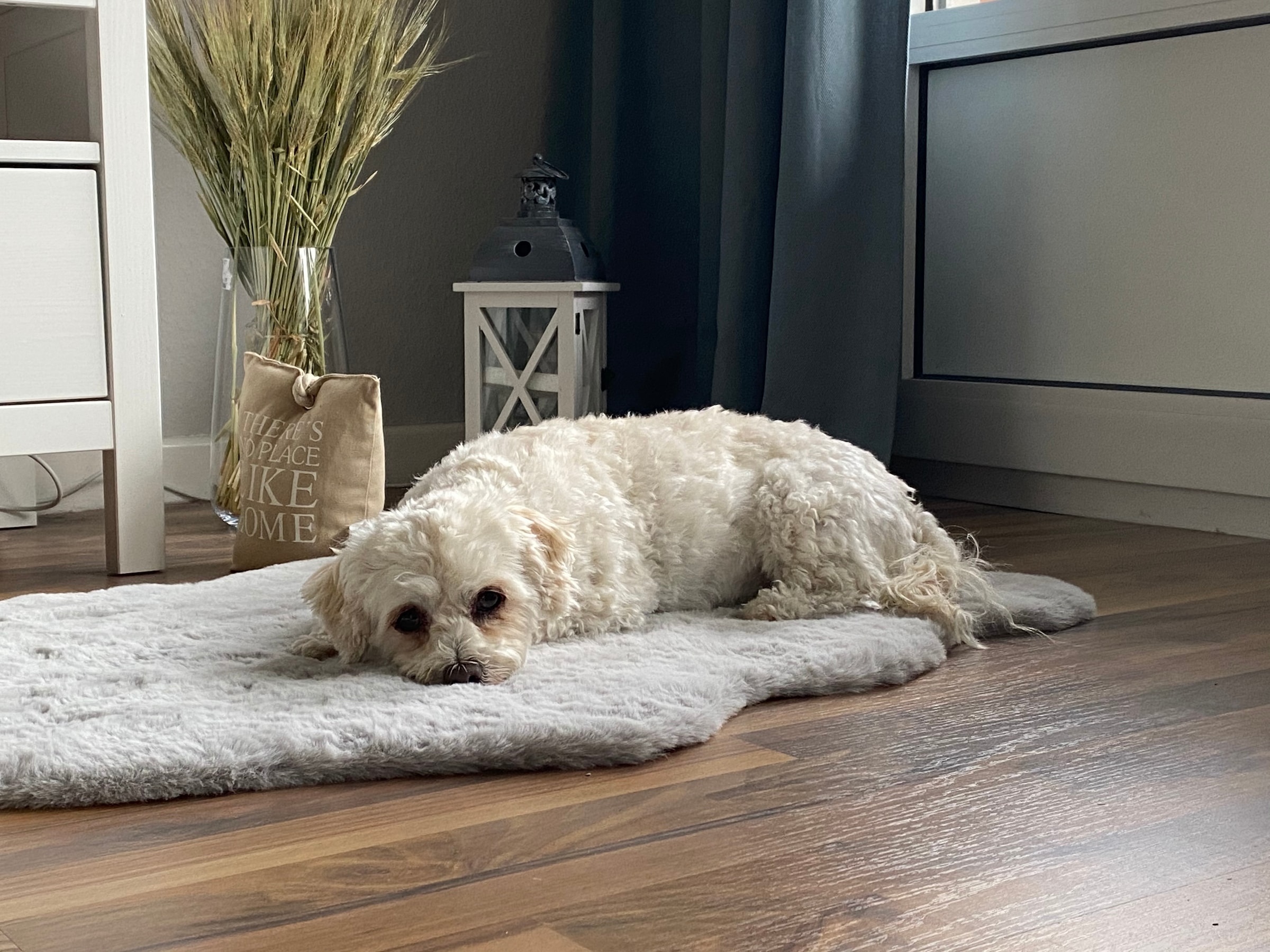 SCHÖNER WOHNEN-Kollektion Fellteppich »Tender« fellförmig 26 mm Höhe weich durch Microfaser, Kaninchenfell Haptik, Kunstfell, waschbar