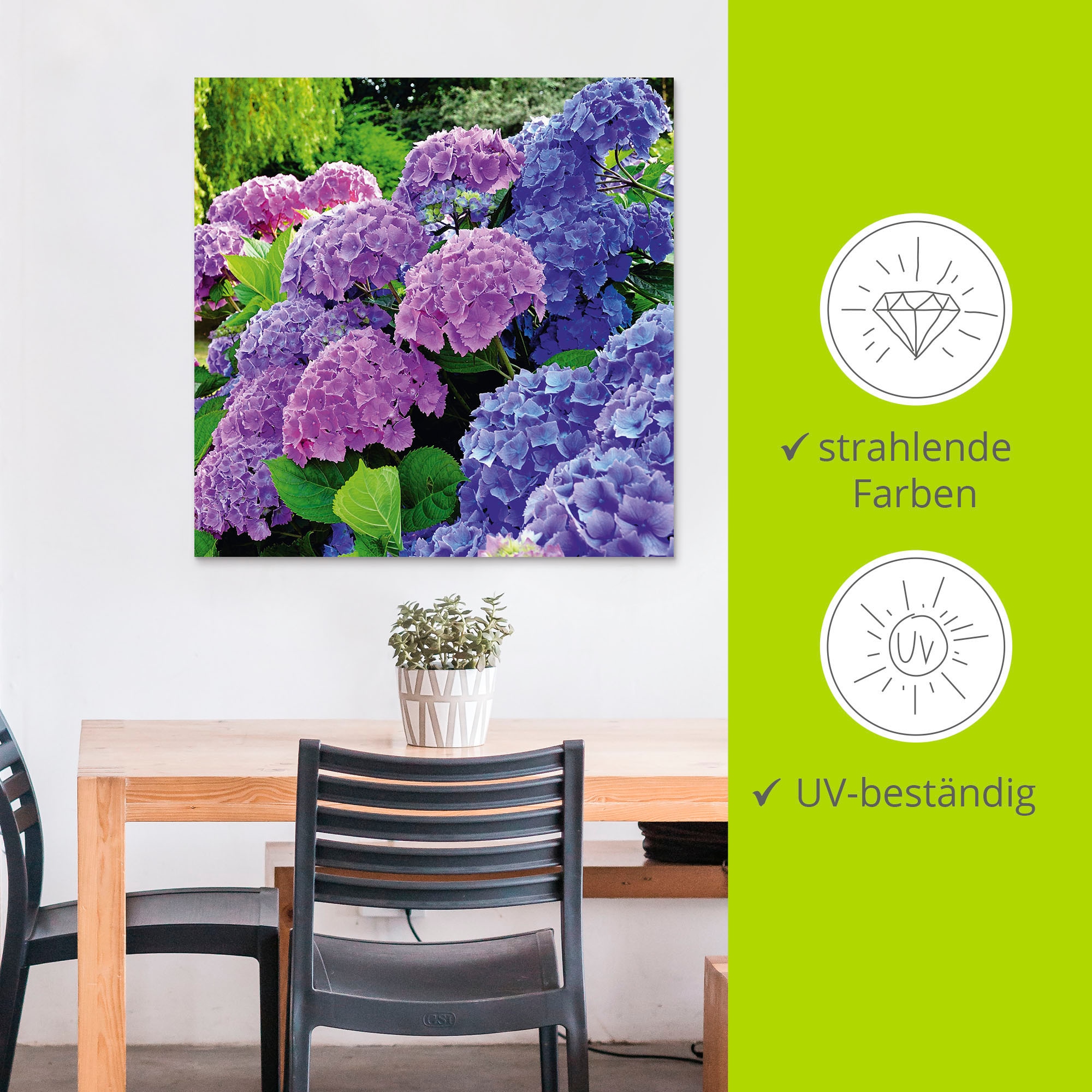 Artland Wandbild »Hortensien im Garten« Blumen 1 Stk. tlg. als Alubild, Leinwandbild, Poster in verschied. Größen