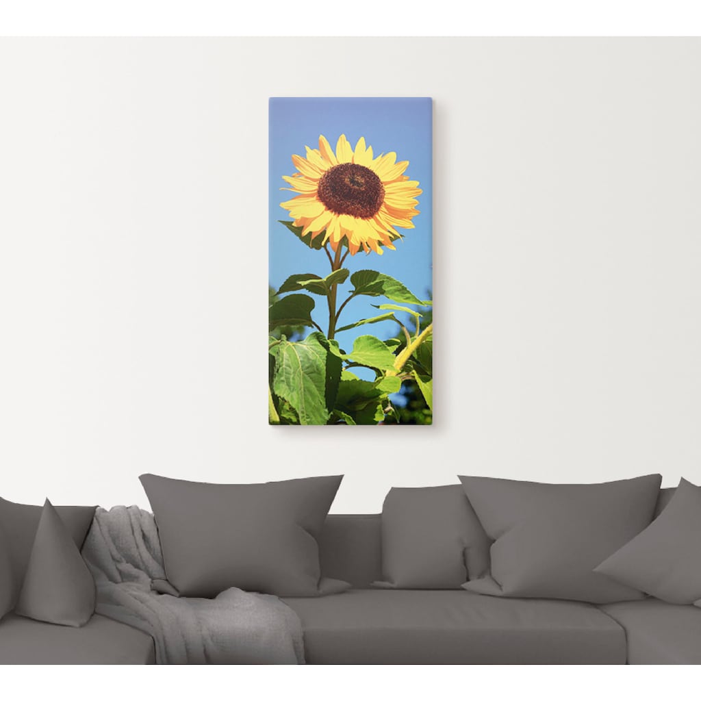Artland Wandbild »Sonnenblume«, Blumen, (1 St.)