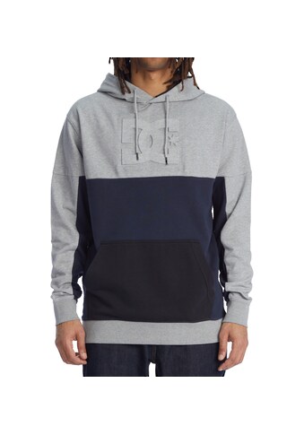 DC Shoes Hoodie »Stuntly« kaufen