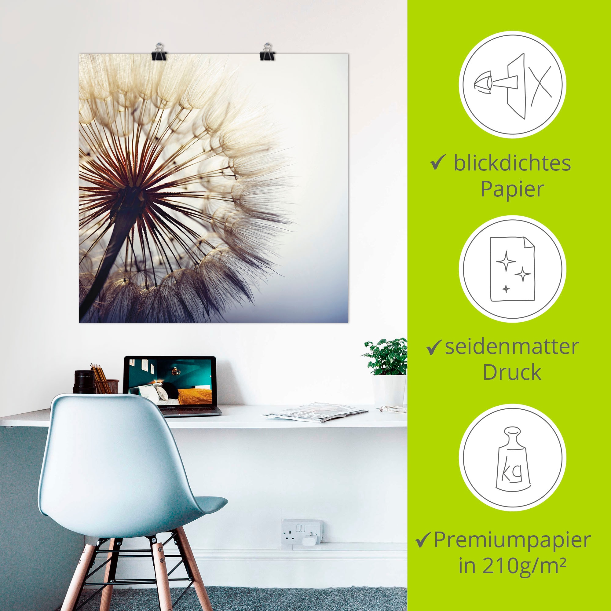 Artland Wandbild »Große Pusteblume«, Blumen, (1 St.), als Alubild, Outdoorbild, Leinwandbild, Poster, Wandaufkleber