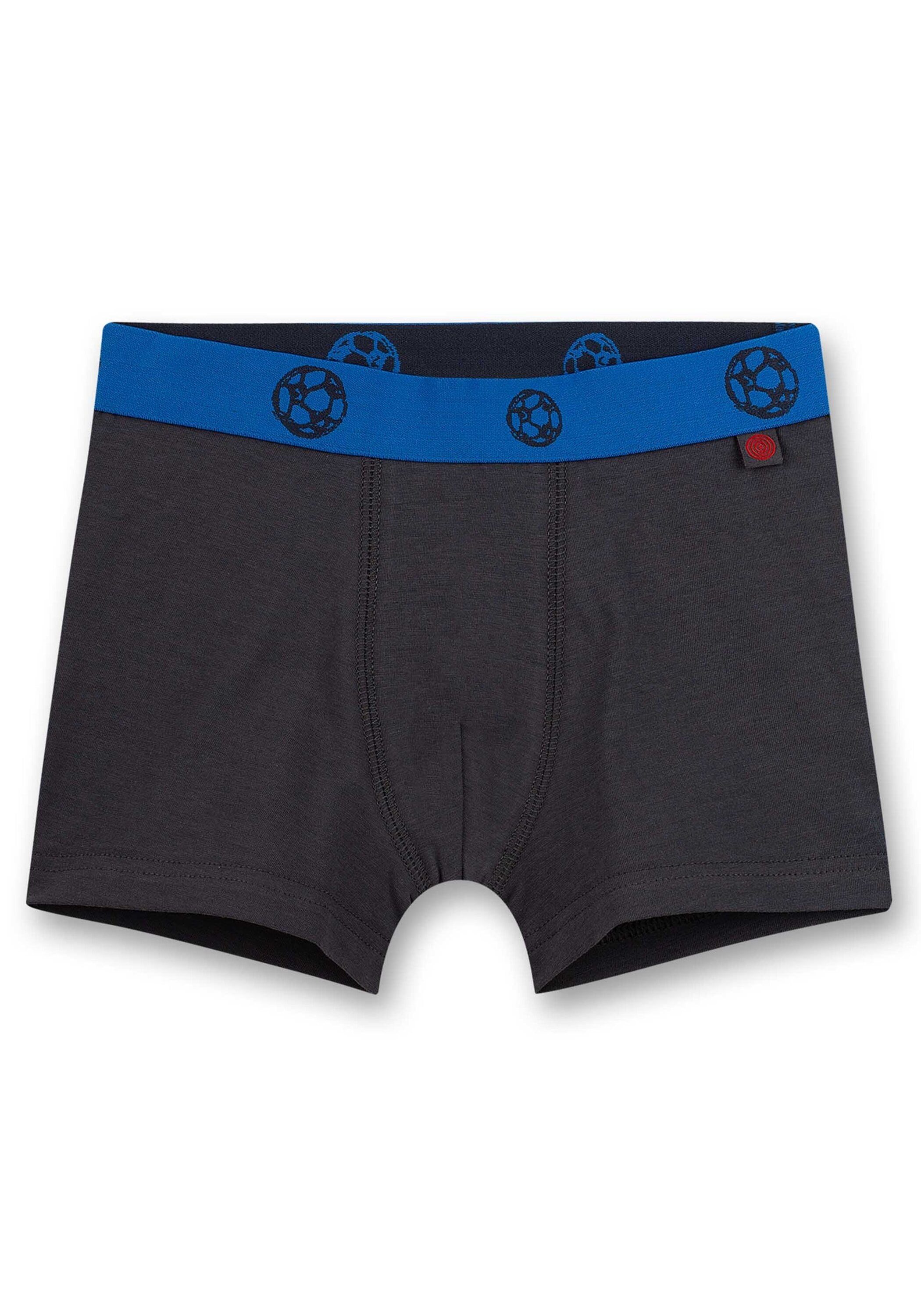 Sanetta Boxershorts »Boxershort 2er Pack«