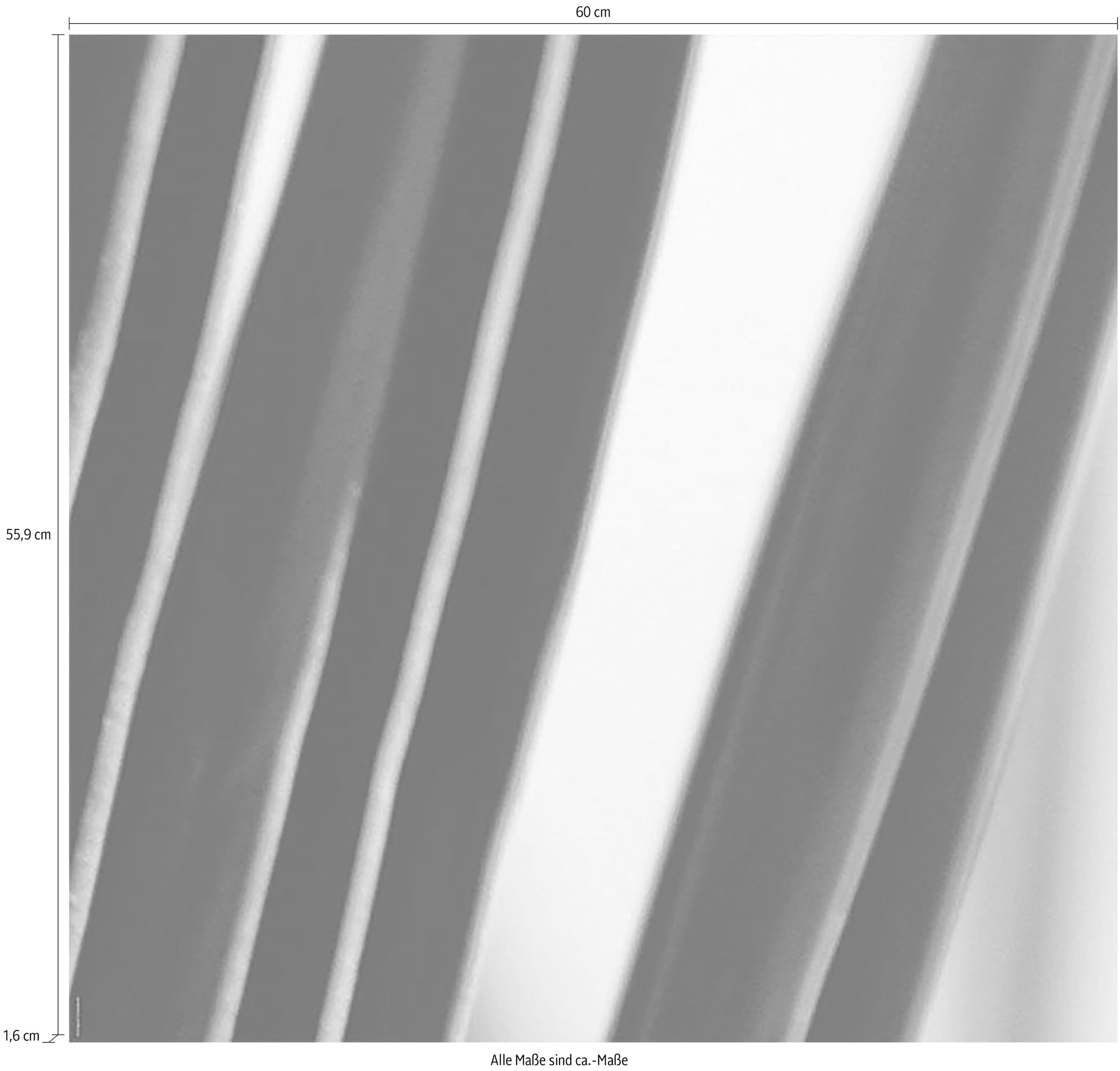 Express Küchen Küchenrückwand »Gräser«