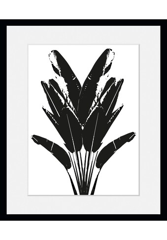 queence Bild »Palma«, Blätter, (1 St.) kaufen