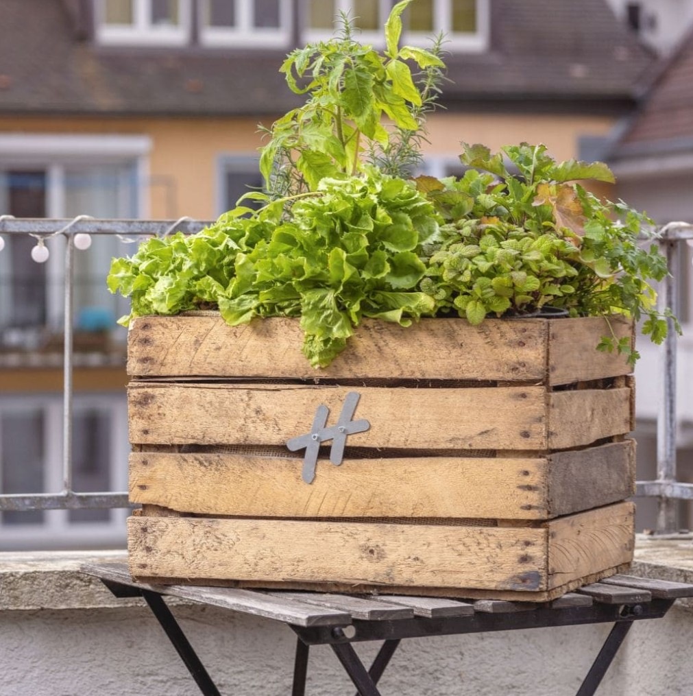 Urban Hochbeet Hochbeet »Holz Kräuterbeet Kiste Apfelkiste Pflanzkasten«