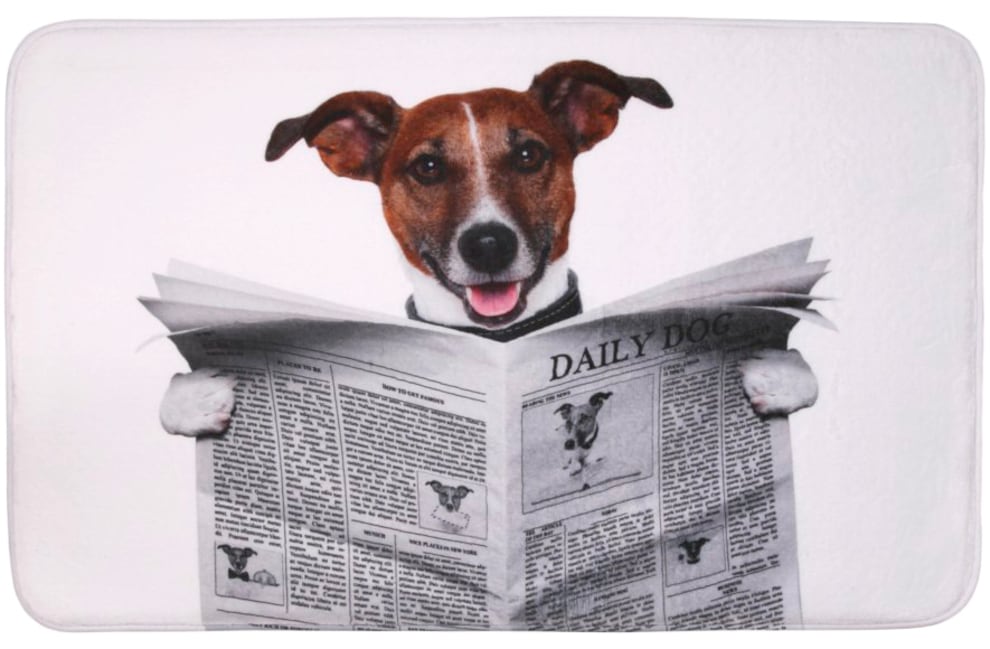 Sanilo Badaccessoire-Set »Newspaper«, (Komplett-Set, 3 tlg.), bestehend aus WC-Sitz, Badteppich und Waschbeckenstöpsel