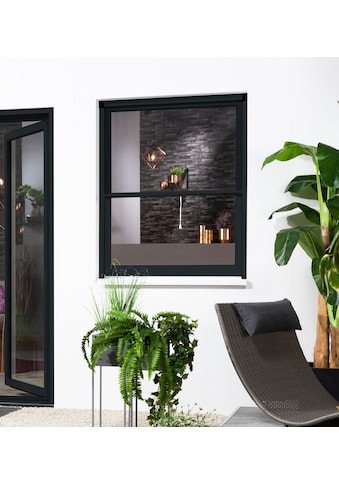 hecht international Insektenschutz-Fensterrahmen »SMART«, 100x160 cm, kürzbar kaufen