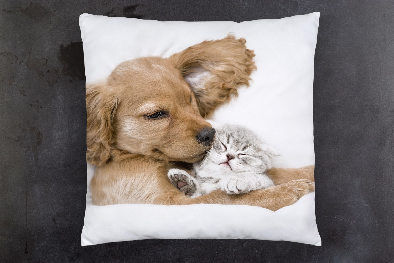 queence Dekokissen »Welpe mit Katze«, Kissenhülle mit HD Premium Druck, geruchsneutral, 40x40cm