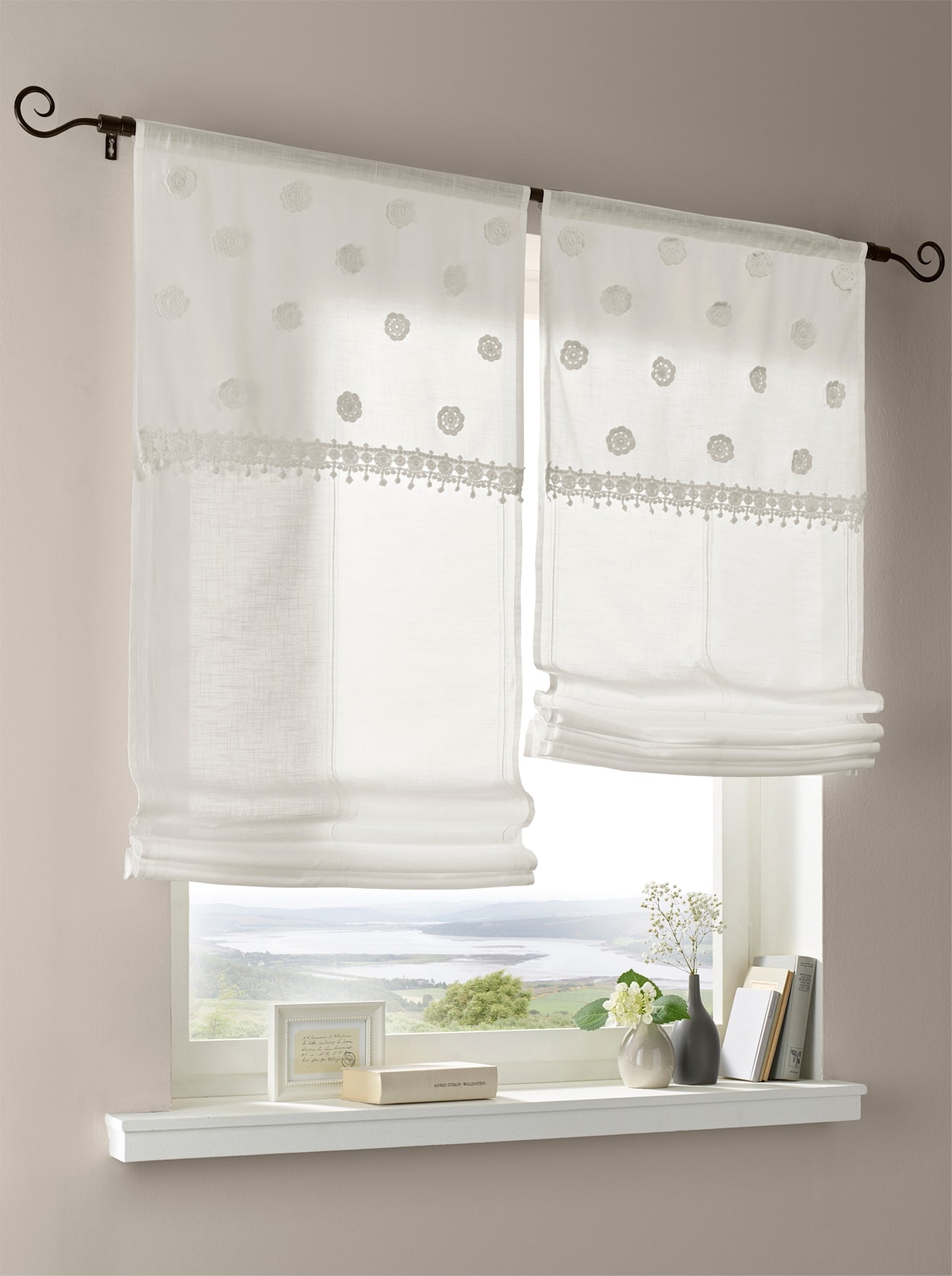 heine home Raffrollo mit Stangendurchzug