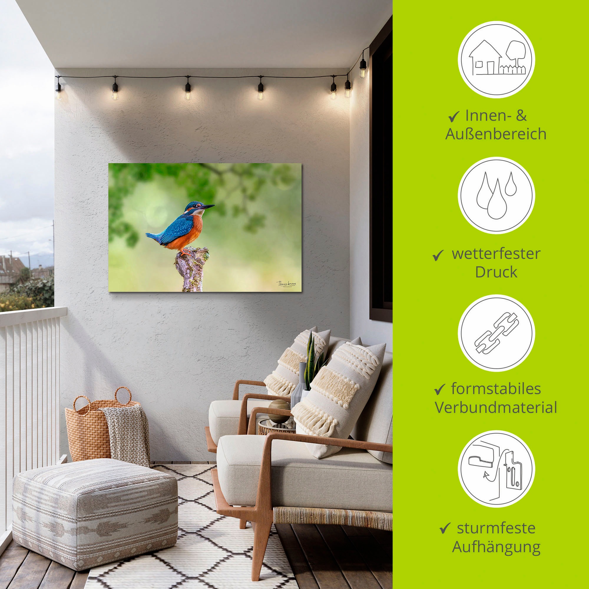 Artland Alu-Dibond-Druck »Eisvogel II« Vogelbilder 1 Stk. tlg. für Innen- und Außenbereich geeignet, Outdoorbild