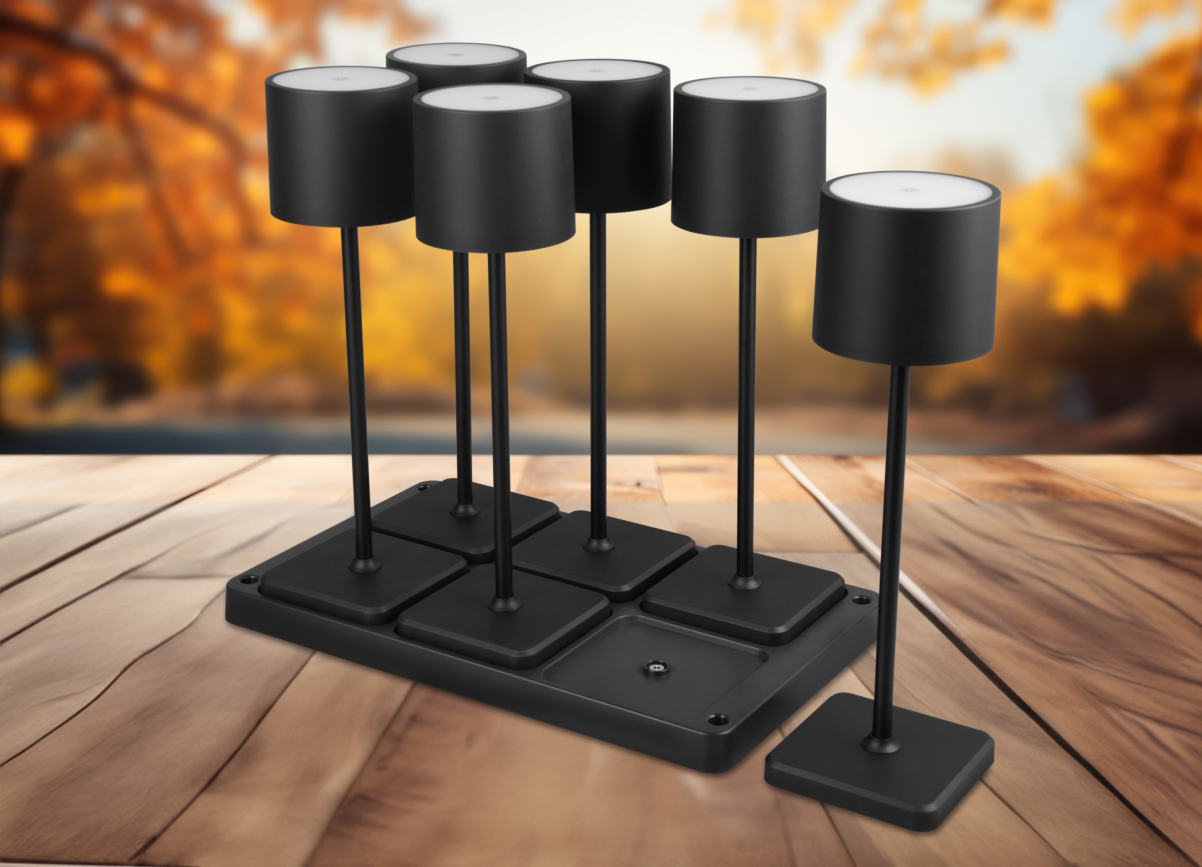 REALITY Leuchten LED Außen-Tischleuchte »Fernandez«, 1 flammig, Leuchtmittel LED-Board | LED fest integriert, Set 6-teilig inkl Induktion-Ladestation Garten Akku Tischlampe dimmbar