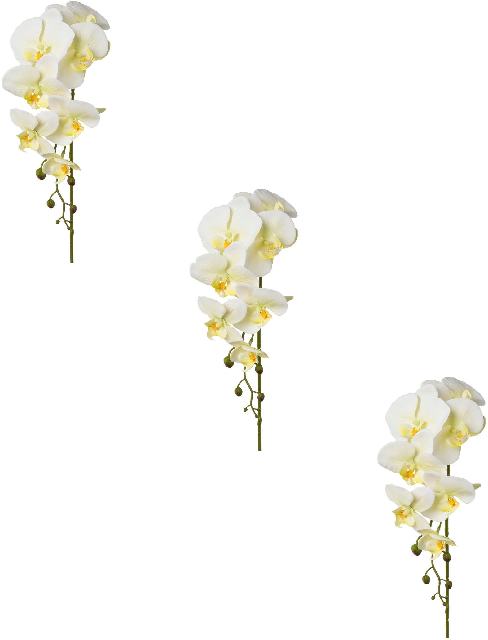 Creativ green Kunstblume »Orchidee Phalaenopsis«
