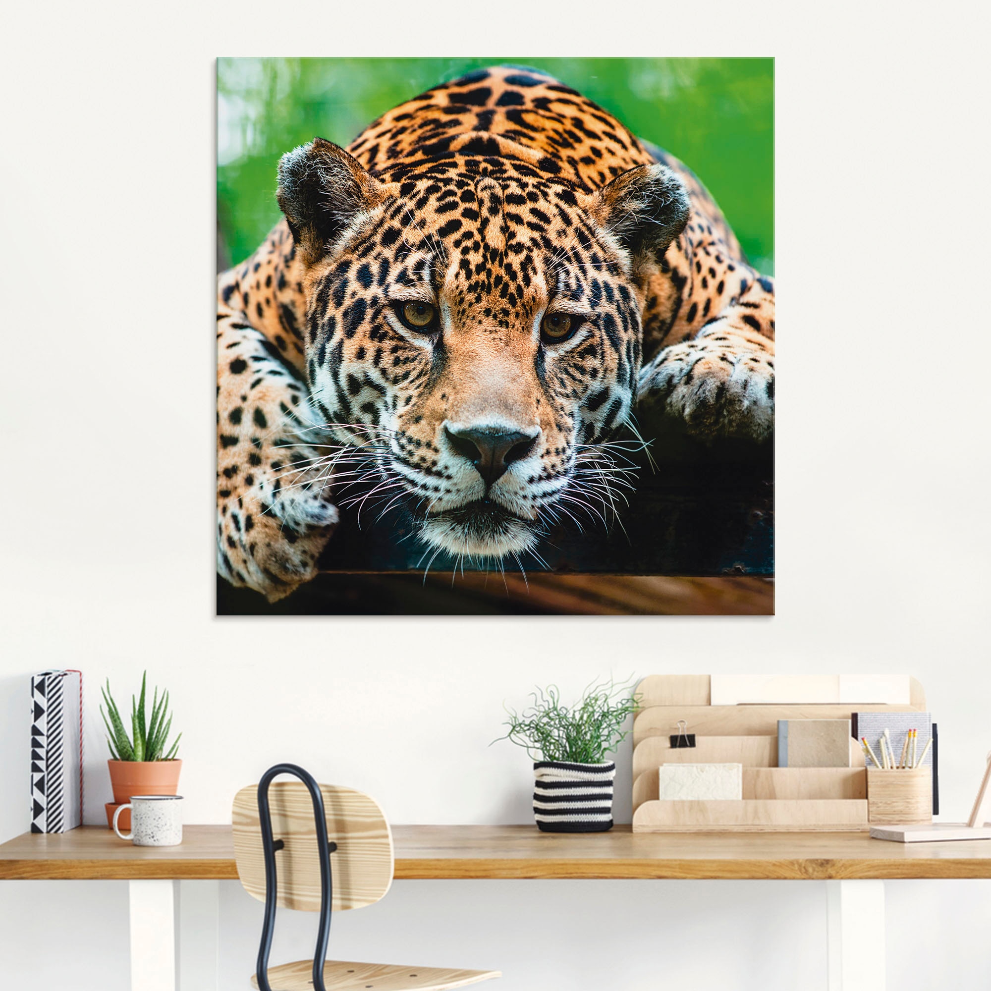Artland Glasbild »Südamerikanischer Jaguar« Wildtiere 1 Stk. tlg.