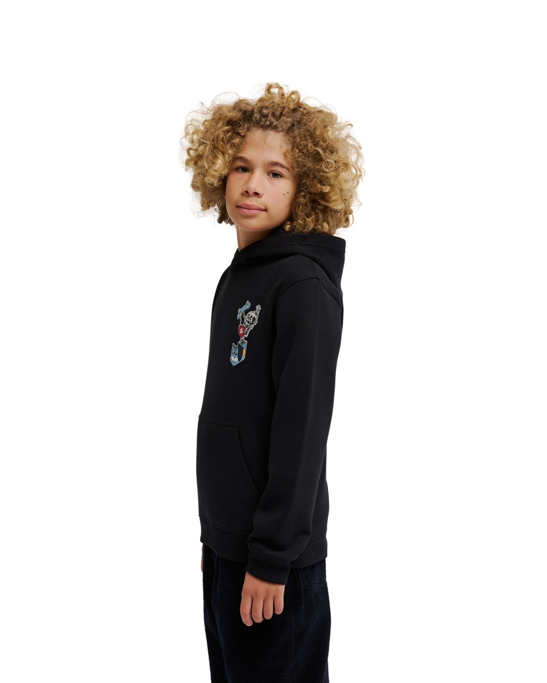 DC Shoes Hoodie »Handplant«
