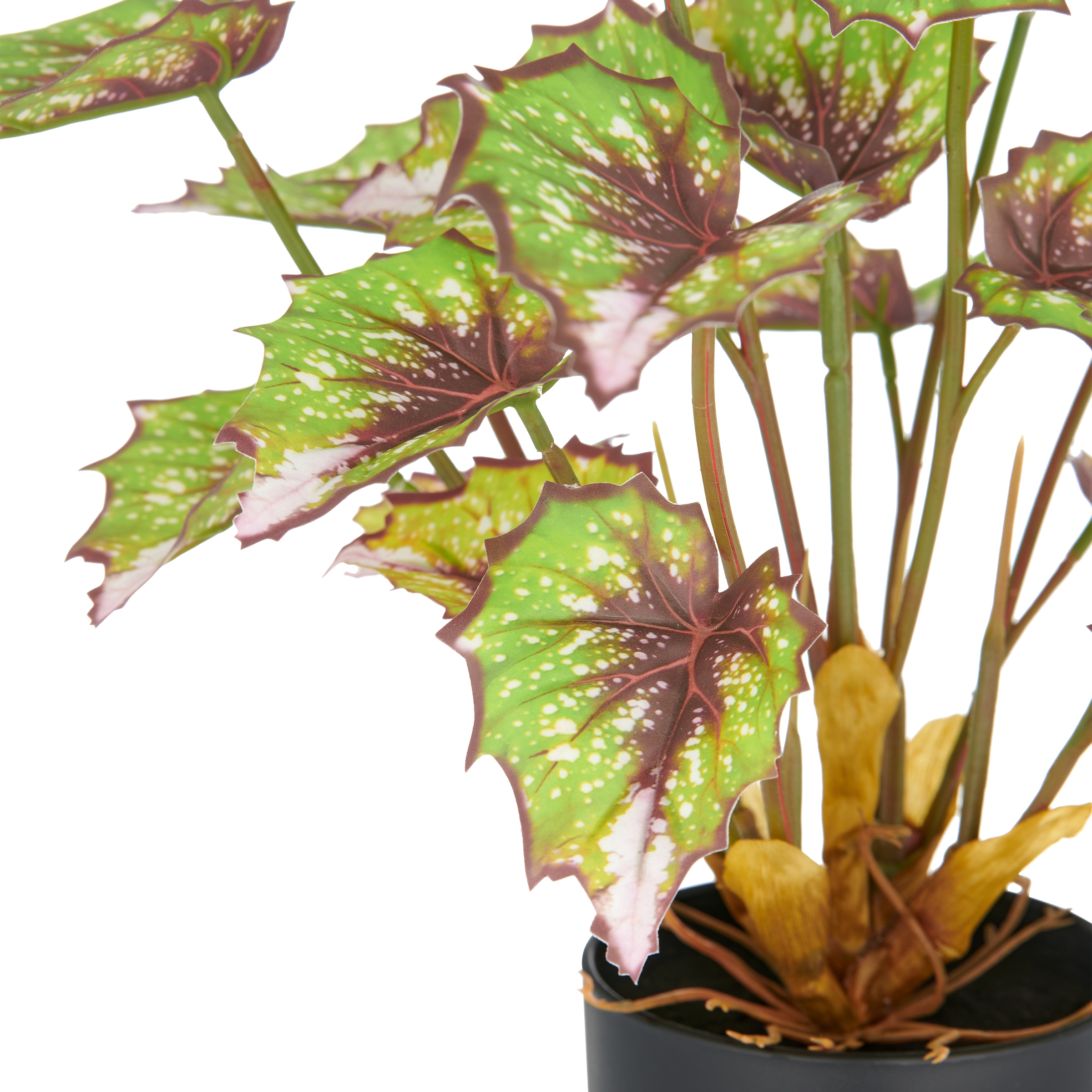 Creativ green Kunstpflanze »Begonia rex« mit außergewöhnlicher Blattzeichnung