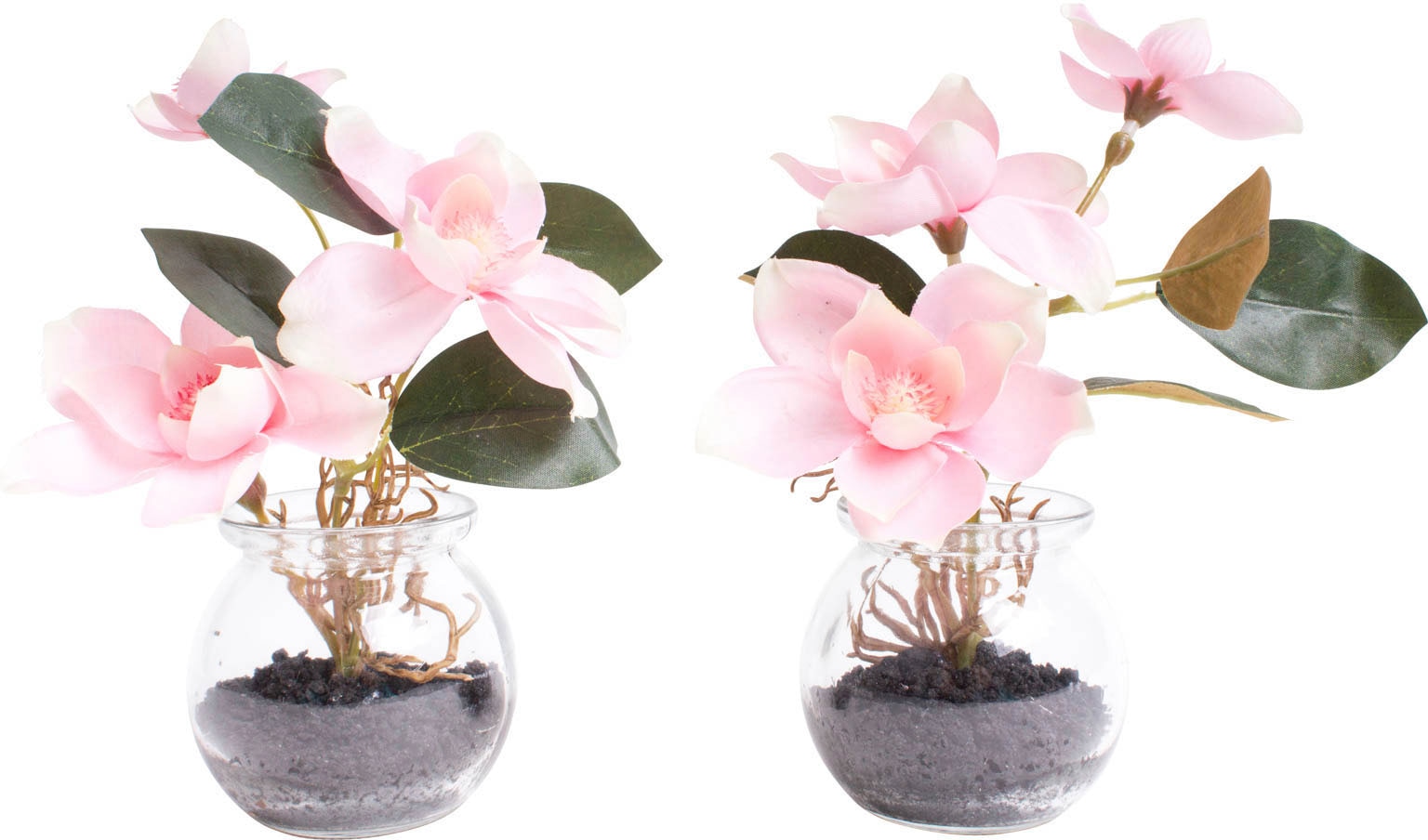 bestellen »Magnolie Kunstblume bequem im Botanic-Haus Glas«