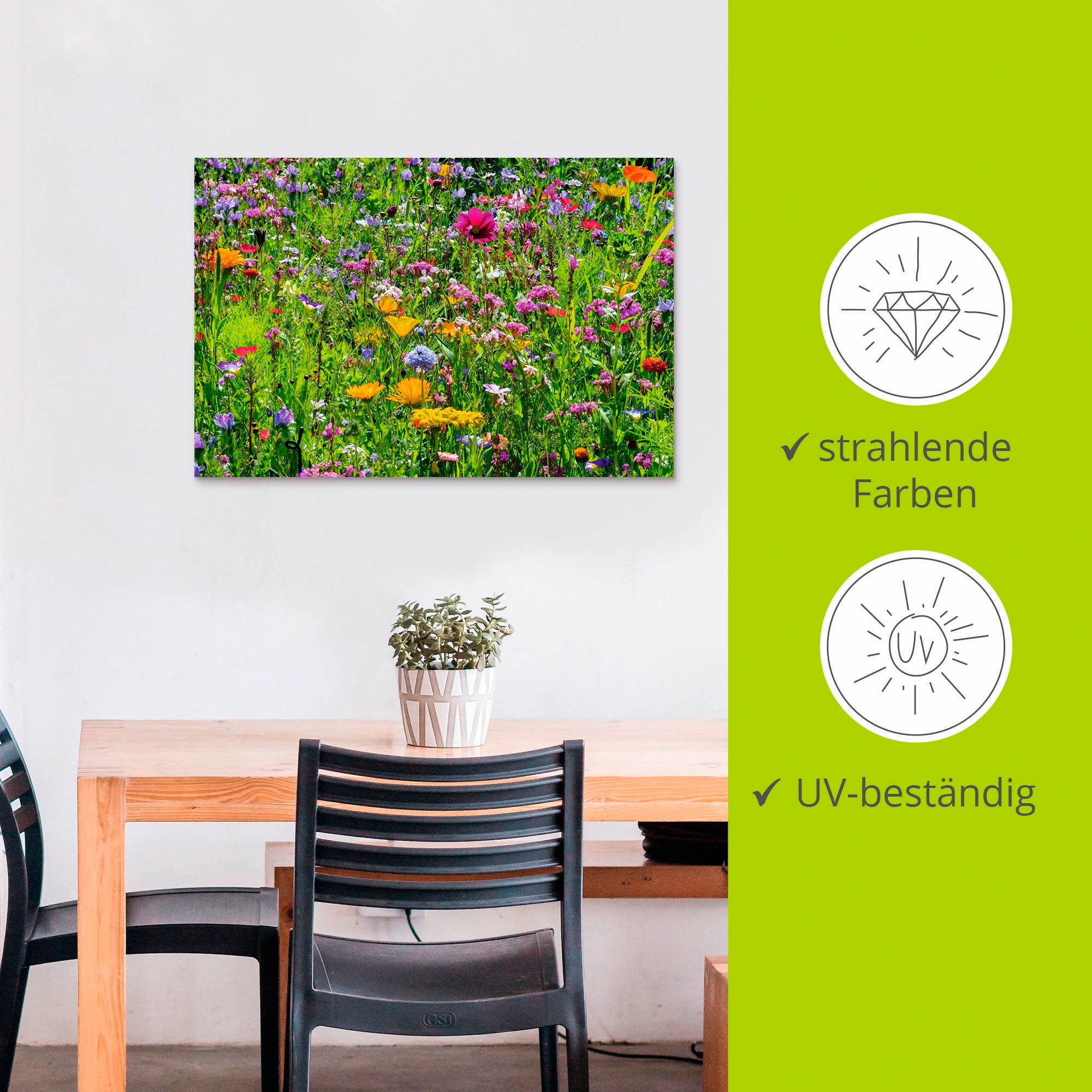 Artland Wandbild »Bunte Blumenwiese« Blumenwiese 1 Stk. tlg. als Alubild, Outdoorbild, Leinwandbild, Poster, Wandaufkleber