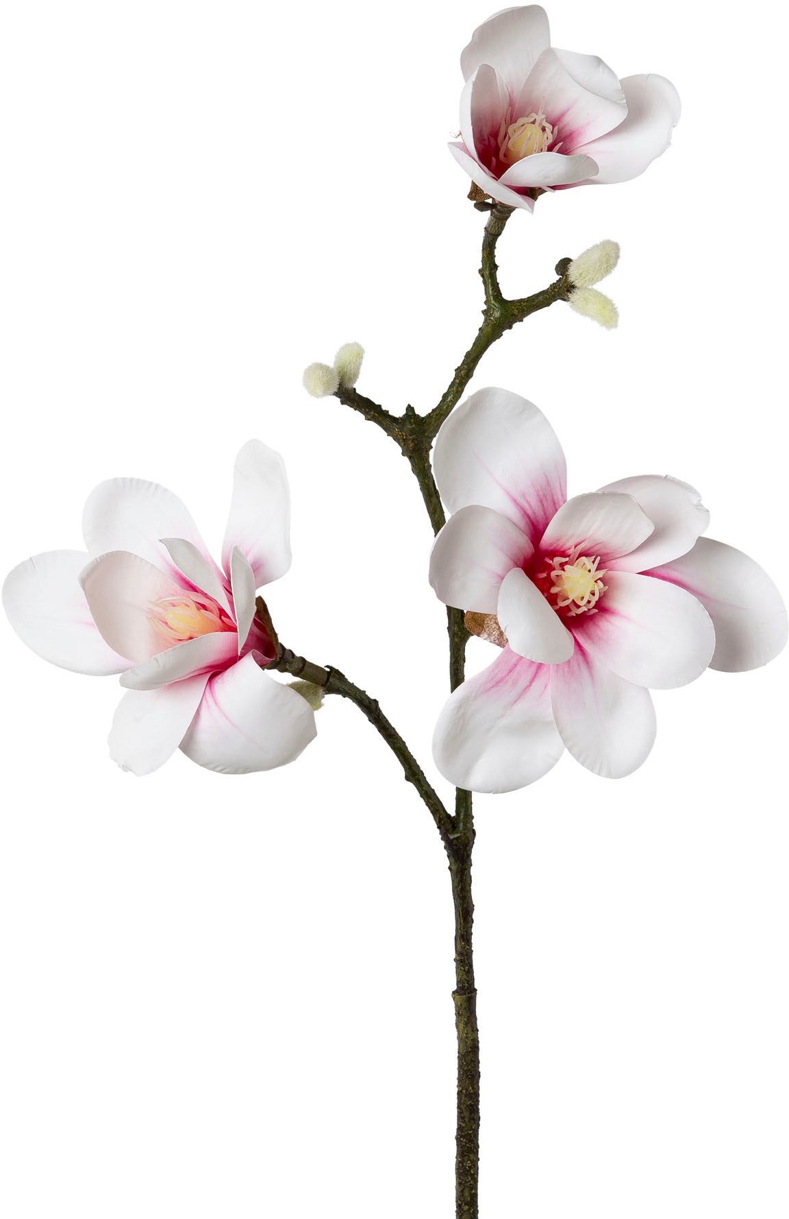 Creativ green Kunstblume »Magnolie«