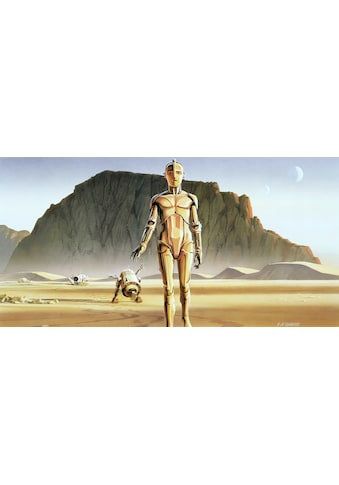 Komar Fototapete »Star Wars Classic RMQ Droids«, futuristisch-mehrfarbig-Weltall kaufen