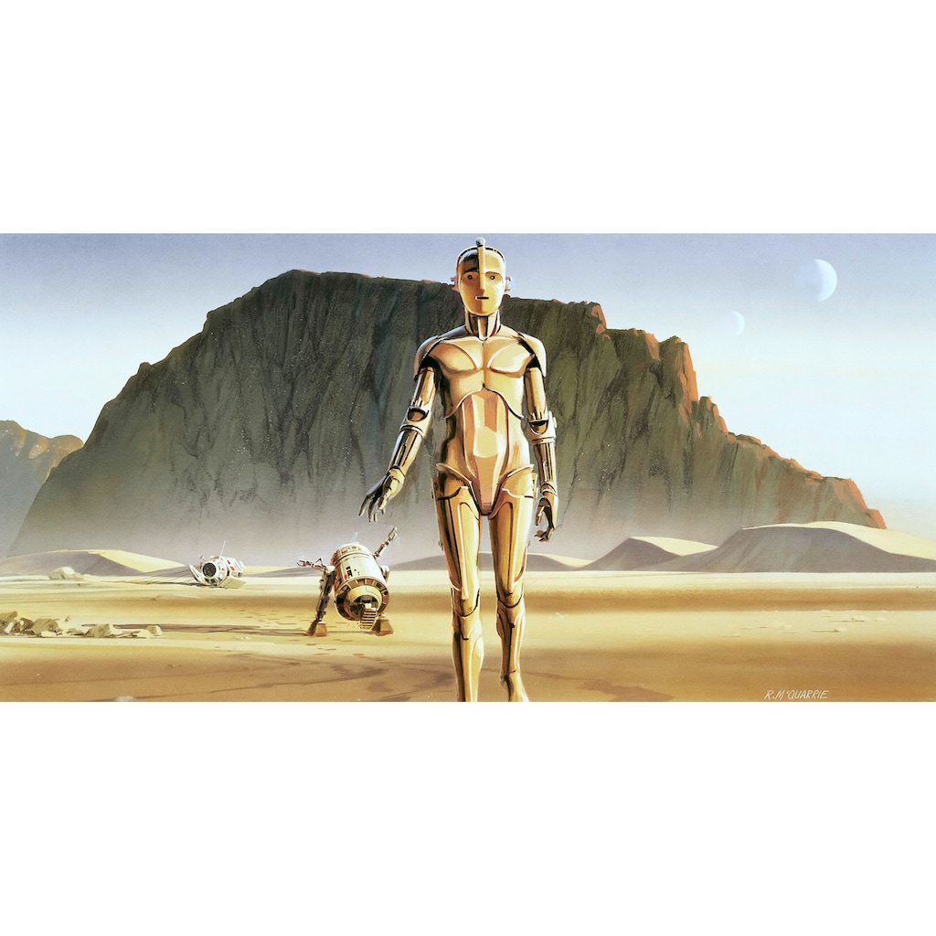 Komar Vliestapete »Star Wars Classic RMQ Droids«, 500x250 cm (Breite x Höhe)