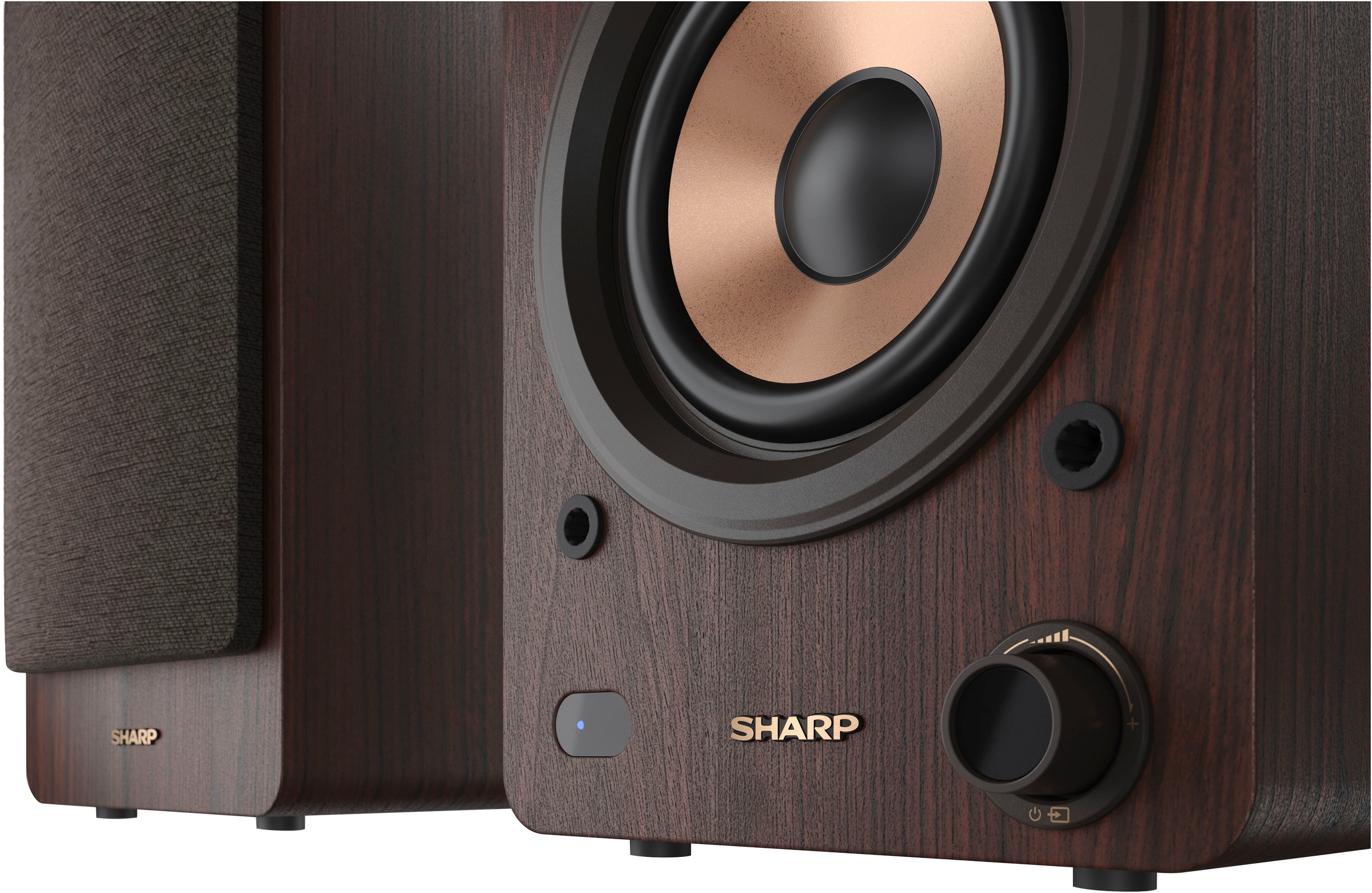 Sharp Lautsprecher »Regalboxen«