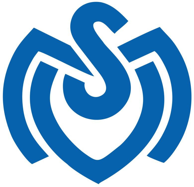Wall-Art Wandtattoo »MSV Duisburg Retro Logo«, (1 St.), selbstklebend, entfernbar