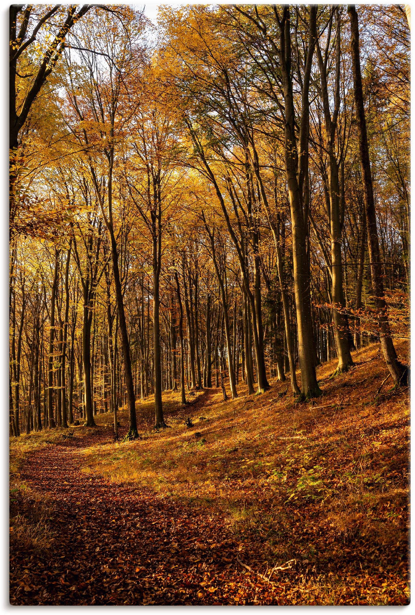 Artland Wandbild »Schöne Herbstfarben oder versch. (1 auf Waldbilder, Leinwandbild, Raten bestellen Alubild, Größen Wandaufkleber bei St.), als in Sonnenuntergang«, Poster