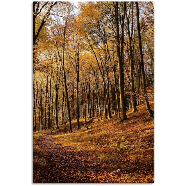 Artland Wandbild »Schöne Herbstfarben bei Sonnenuntergang«, Waldbilder, (1  St.), als Alubild, Leinwandbild, Wandaufkleber oder Poster in versch. Größen  auf Raten bestellen