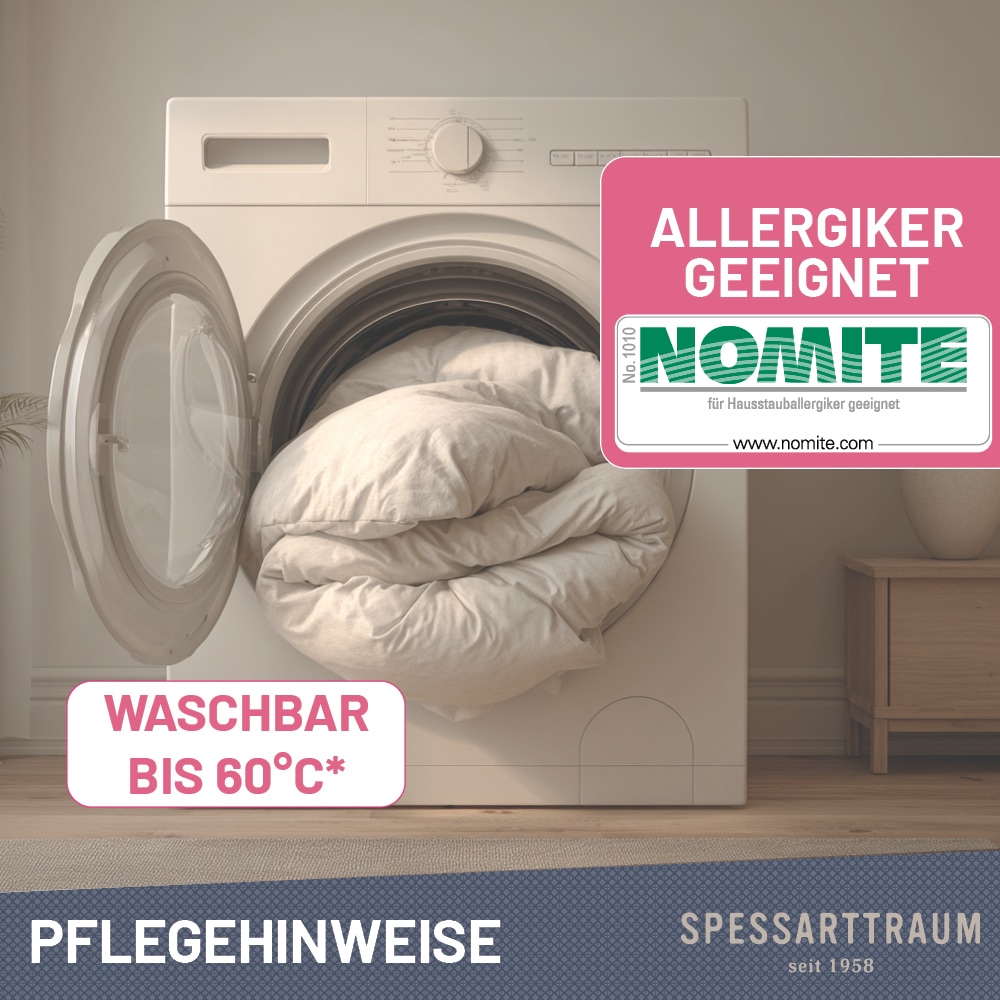 SPESSARTTRAUM Federkissen »FIRST CLASS«, Füllung: 100% Federn, Bezug: 100% Baumwolle, (2 St.), Kopfkissen in verschiedenen Größen erhältlich, im Set günstiger