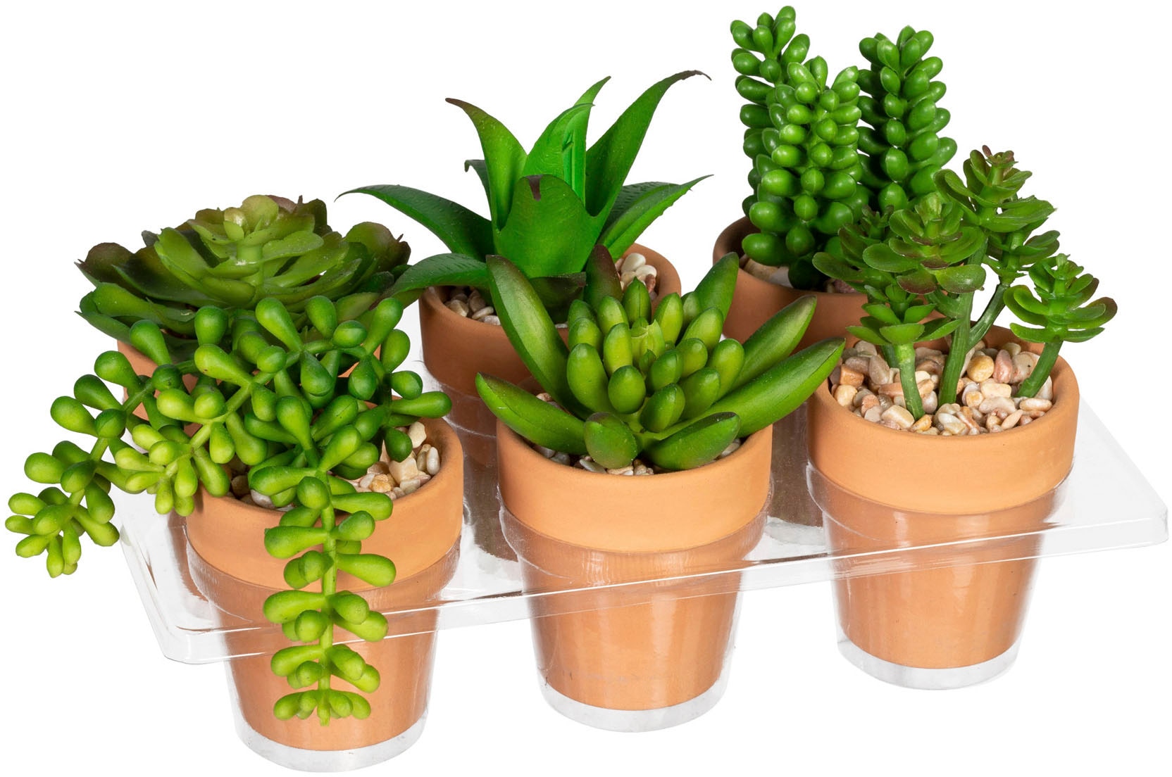 bequem Set Creativ Tontopf, Künstliche green im 6er »Mini-Sukkulenten«, bestellen Zimmerpflanze