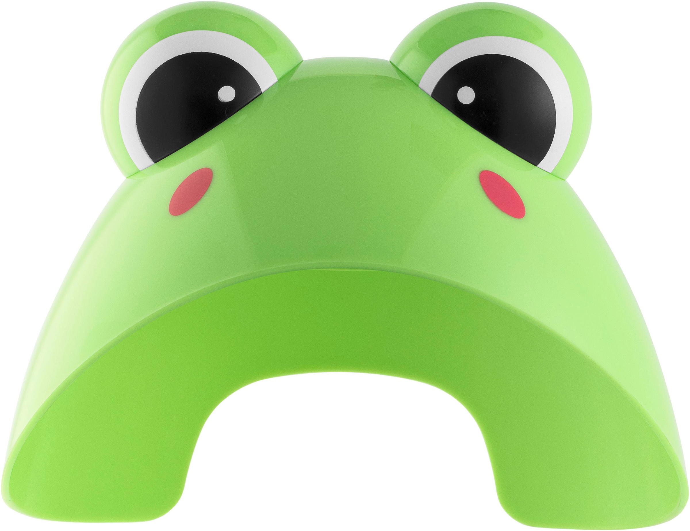 Chicco Inhalationsgerät »Aerosolgerät Frosch«