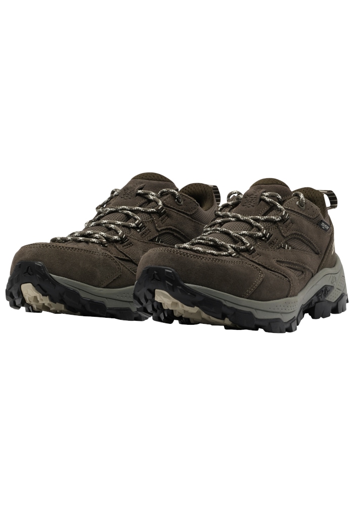 Jack Wolfskin Wanderschuh »VOJO TOUR TEXAPORE LOW M«