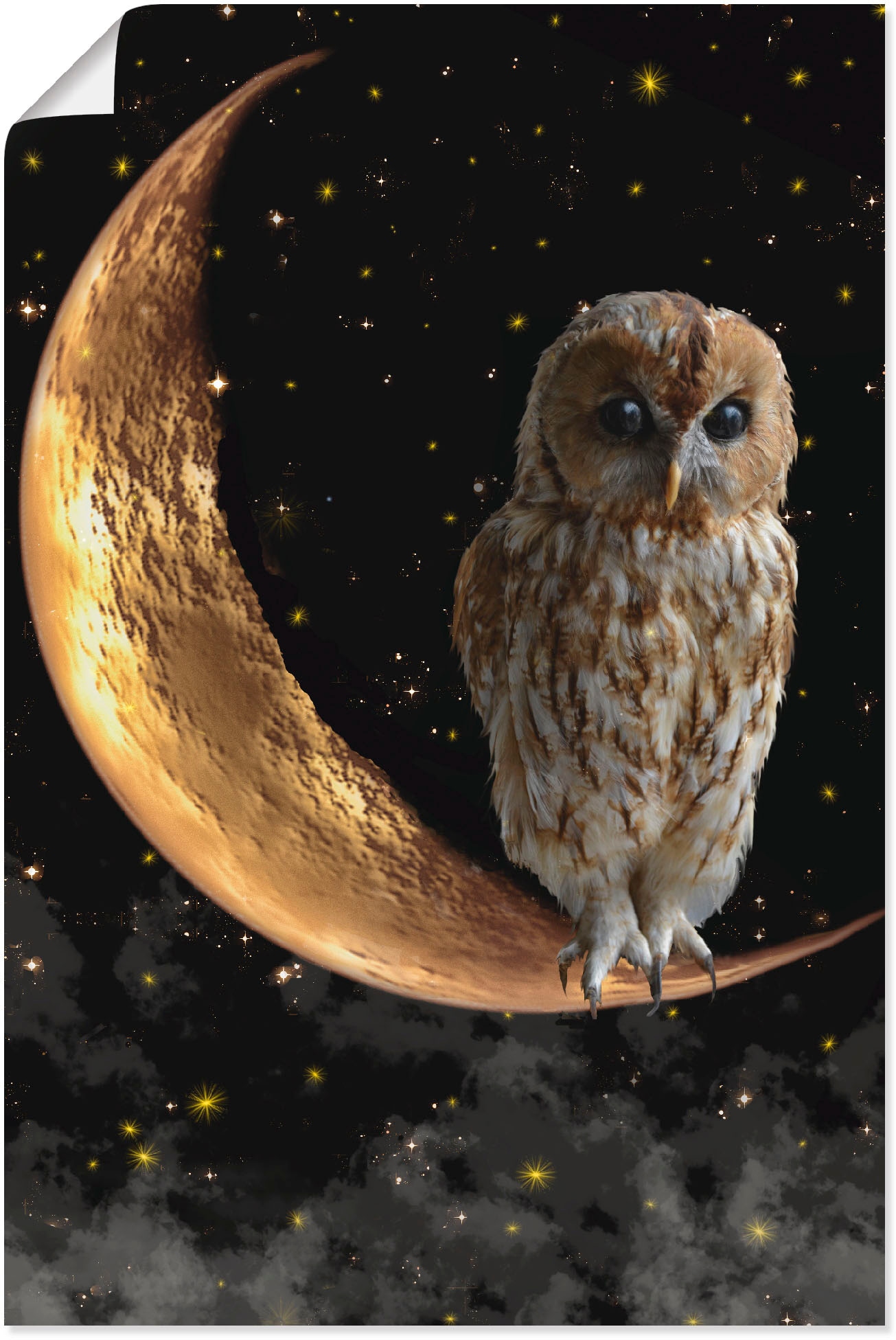 Artland Wandbild »Nachteule«, Vögel, (1 St.), als Alubild, Leinwandbild,  Wandaufkleber oder Poster in versch. Größen auf Rechnung bestellen
