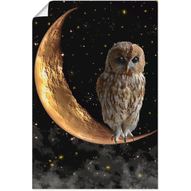 Artland Wandbild »Nachteule«, Vögel, (1 St.), als Alubild, Leinwandbild,  Wandaufkleber oder Poster in versch. Größen auf Rechnung bestellen