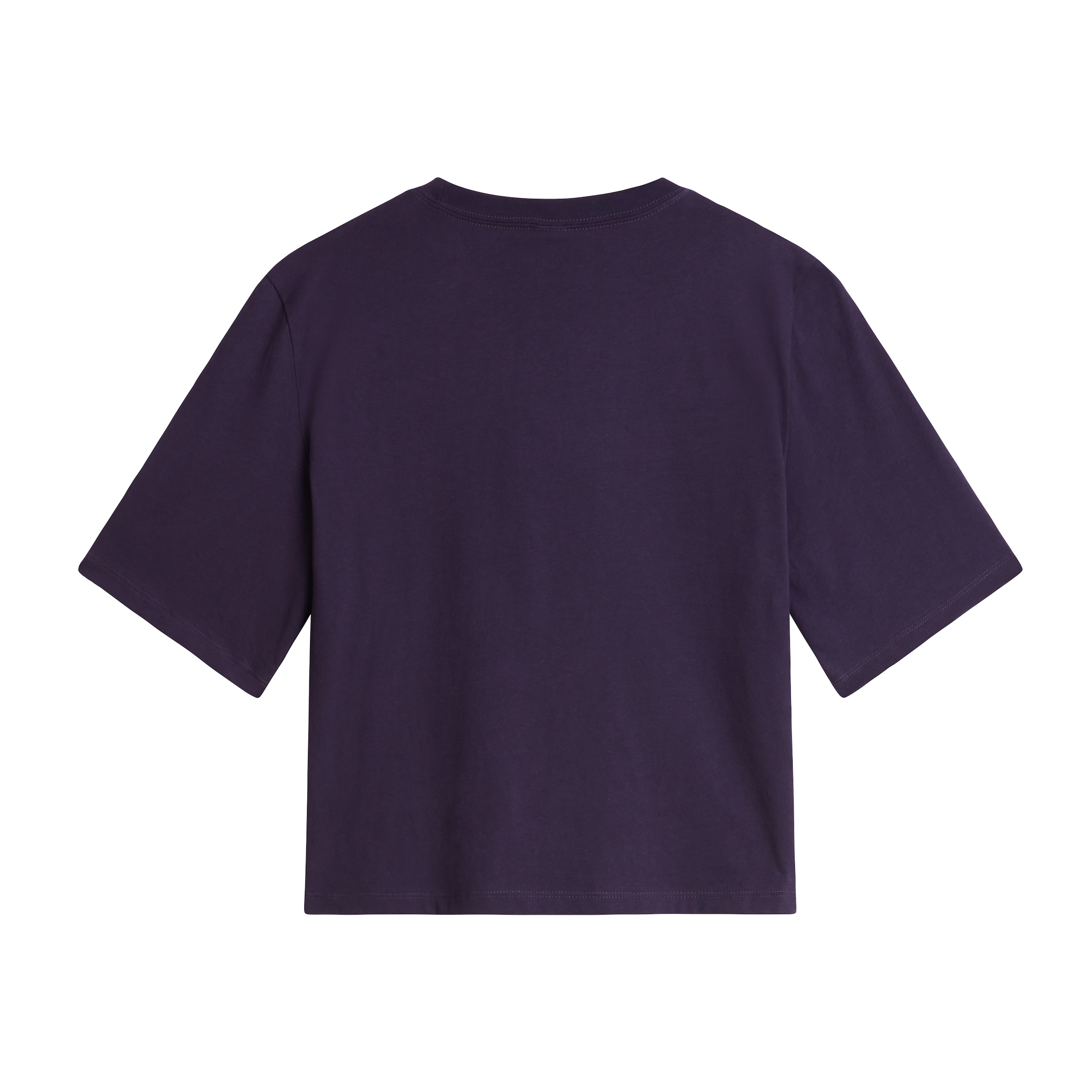 The North Face T-Shirt »W TNF ESSENTIAL SIMPLE DOME BOXY RLX SS TEE«