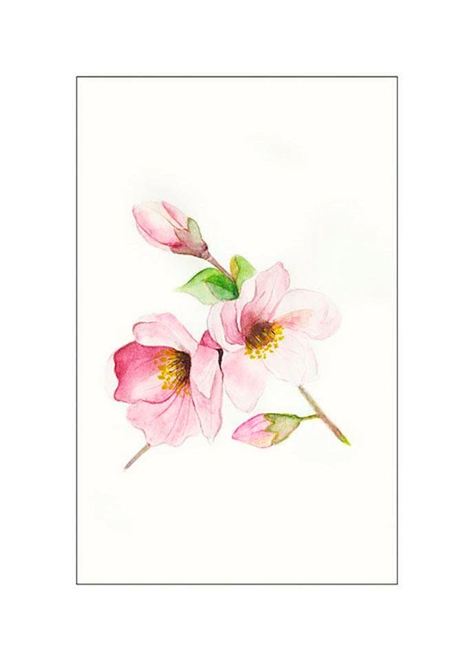 Komar Poster »Magnolia Breathe«, Blumen, (1 St.), Kinderzimmer, Schlafzimmer, Wohnzimmer