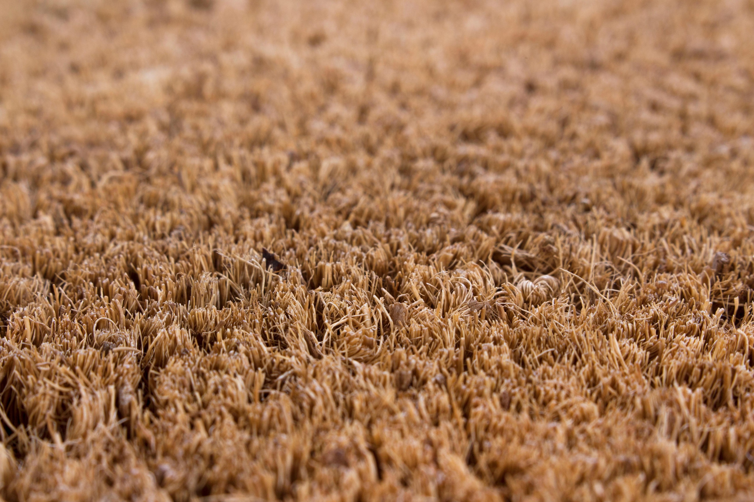 Andiamo Fußmatte »Kokos uni« rechteckig 15 mm Höhe Schmutzfangmatte, In- und Outdoor geeignet