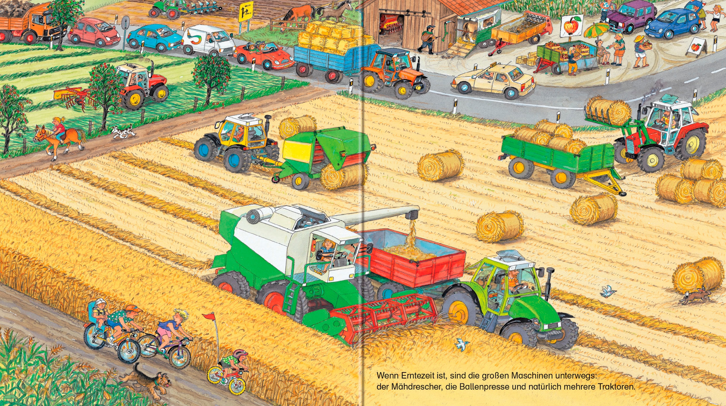 Ravensburger Buch »Pappbilderbuch, Bagger, Traktor, Müllabfuhr!«