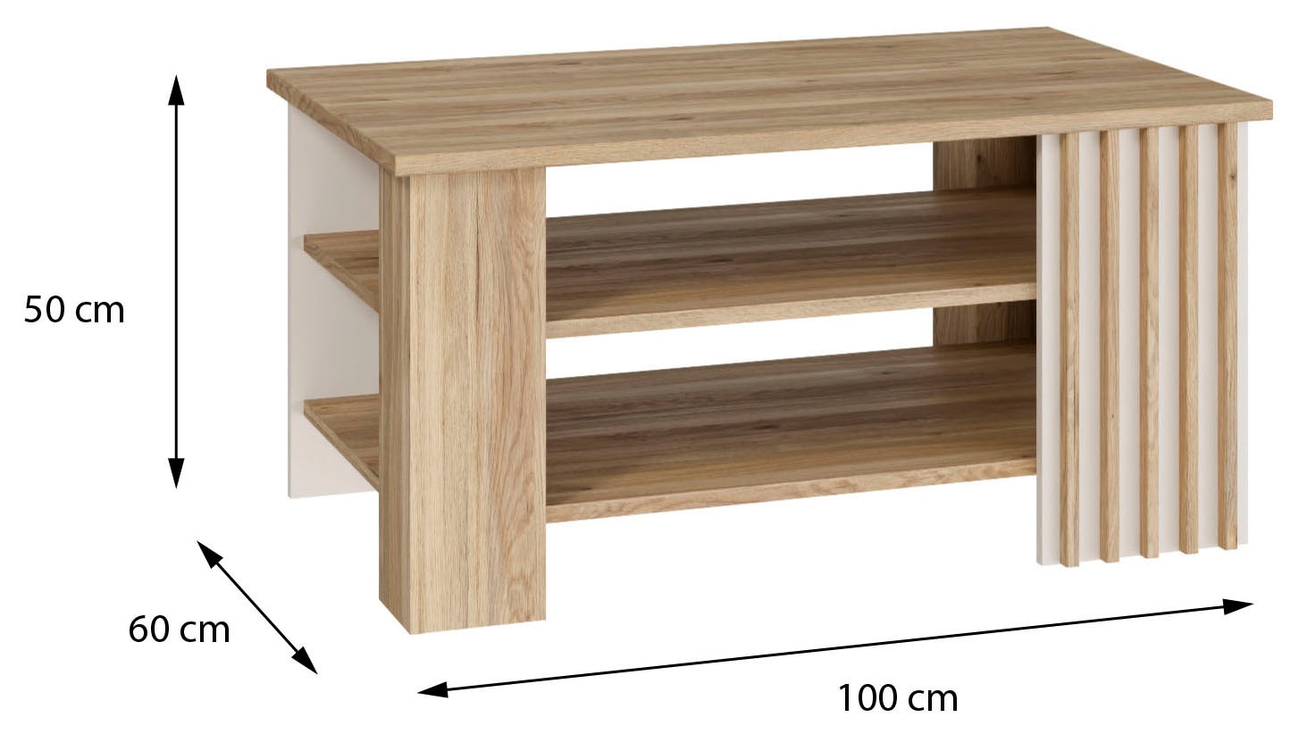 FORTE Couchtisch »Forte Arank Coffee Table 100x50, 2 Ablageböden« B/H/T 100/50/60 cm, Lamellenoptik