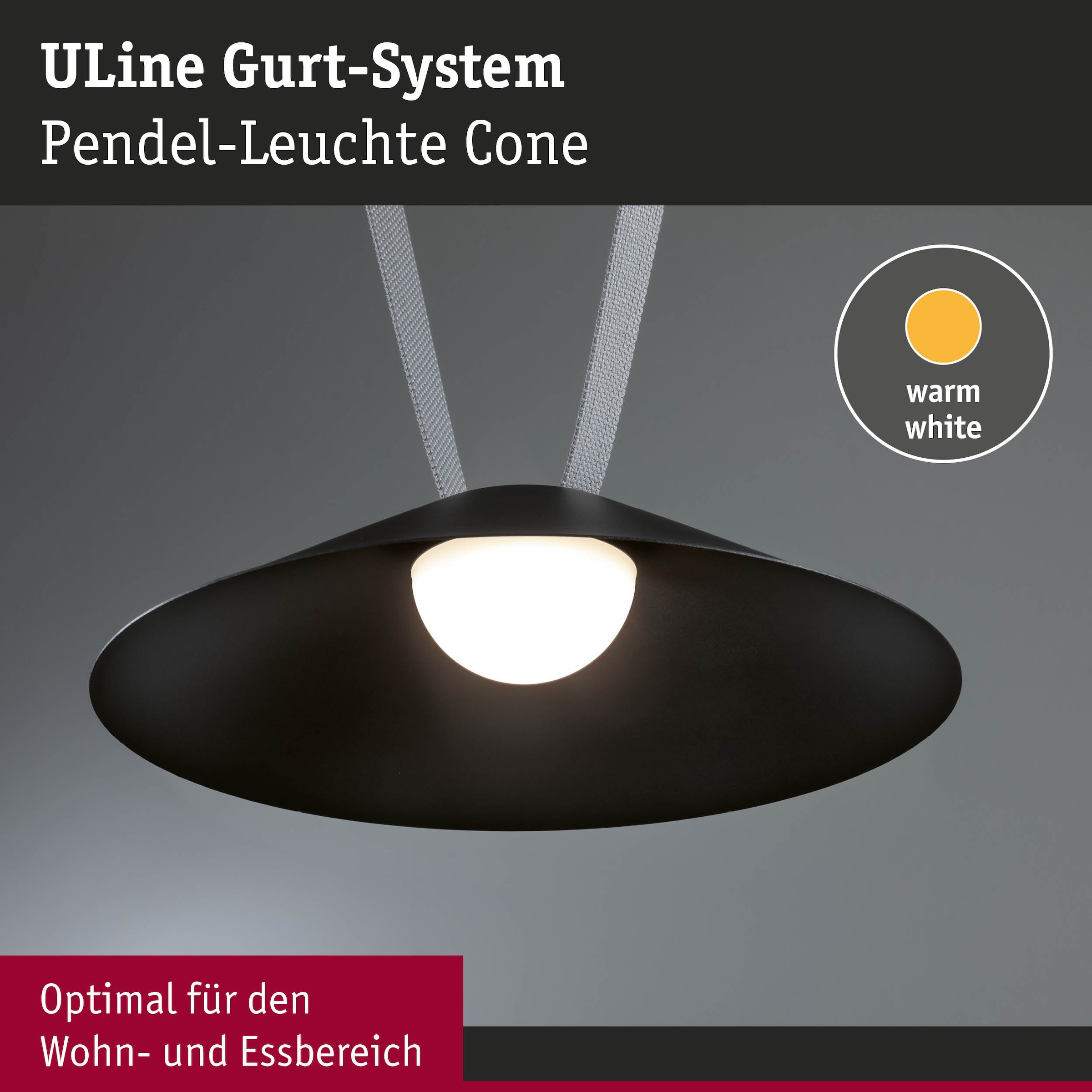 Paulmann Hängeleuchte »ULine Pendelleuchte Cone  350mm 12W Schwarz« 1 Stk. Warmweiß